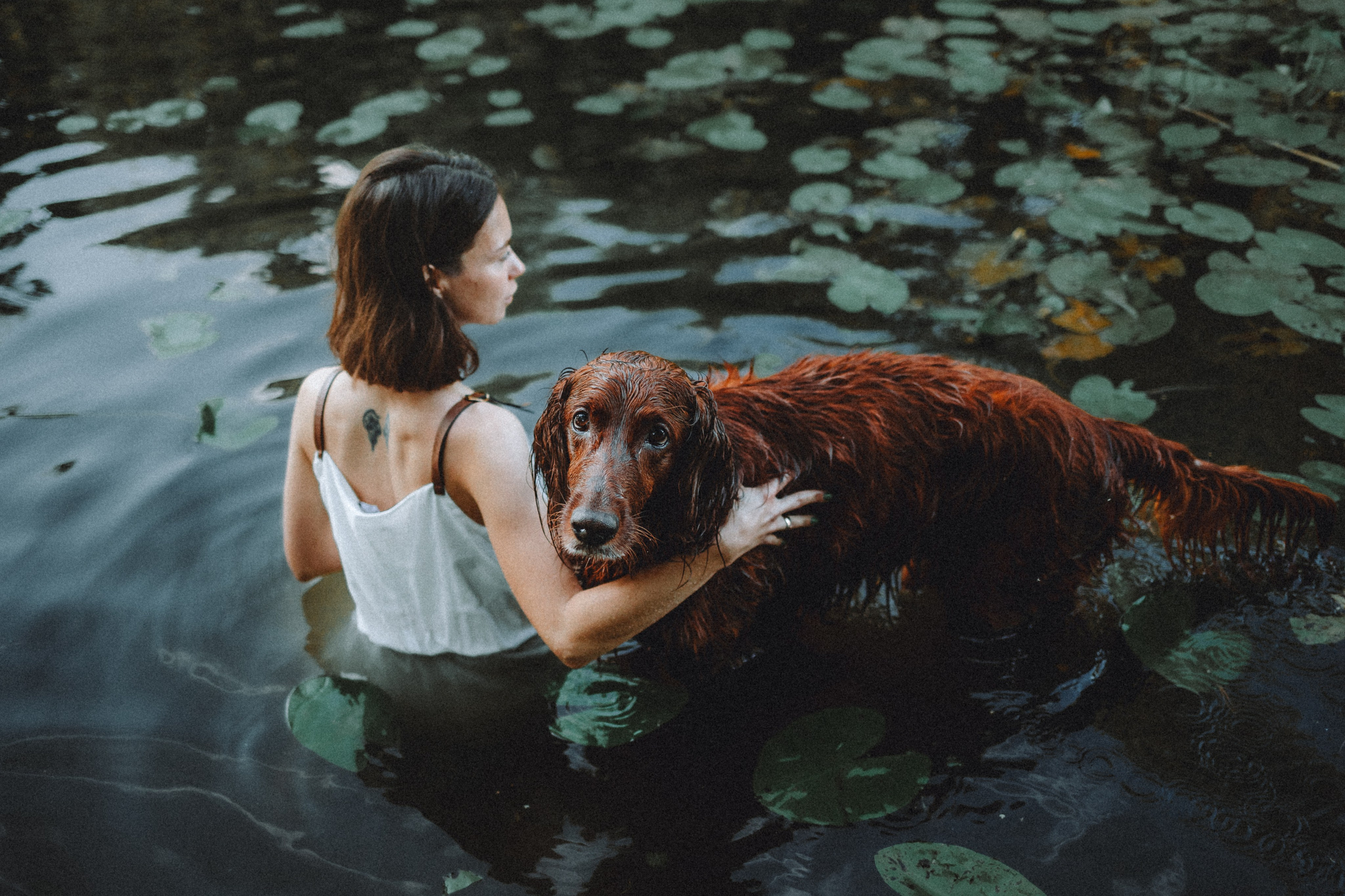 Маша и Джерри