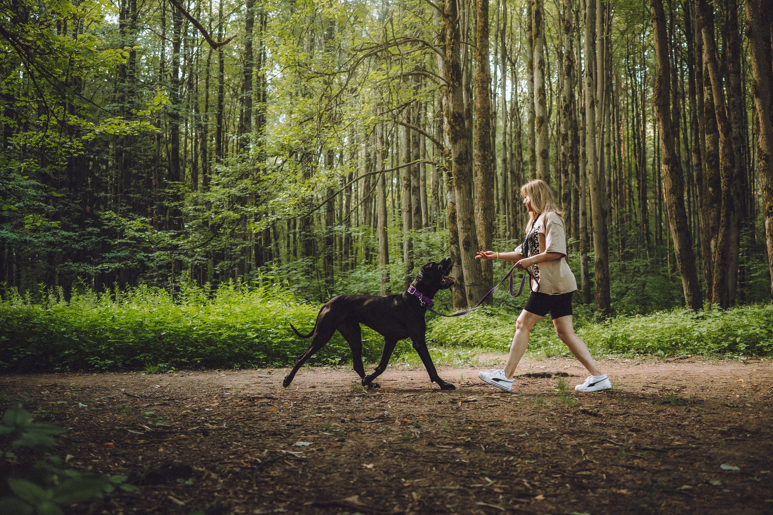 Катя, Андрей, Гектор, Ричи, Тортик и Трой