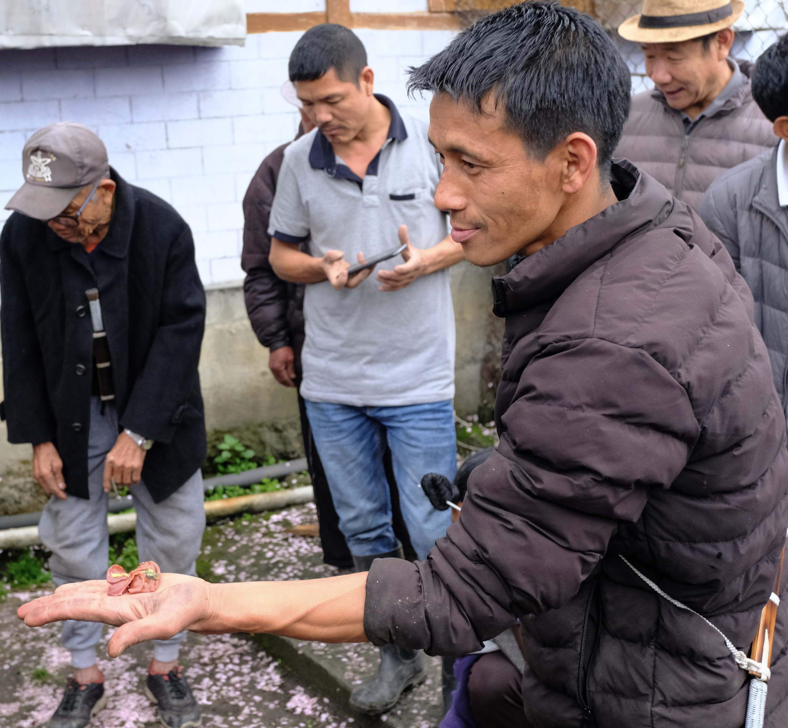 Жертвоприношение. Фотографии из путешествий