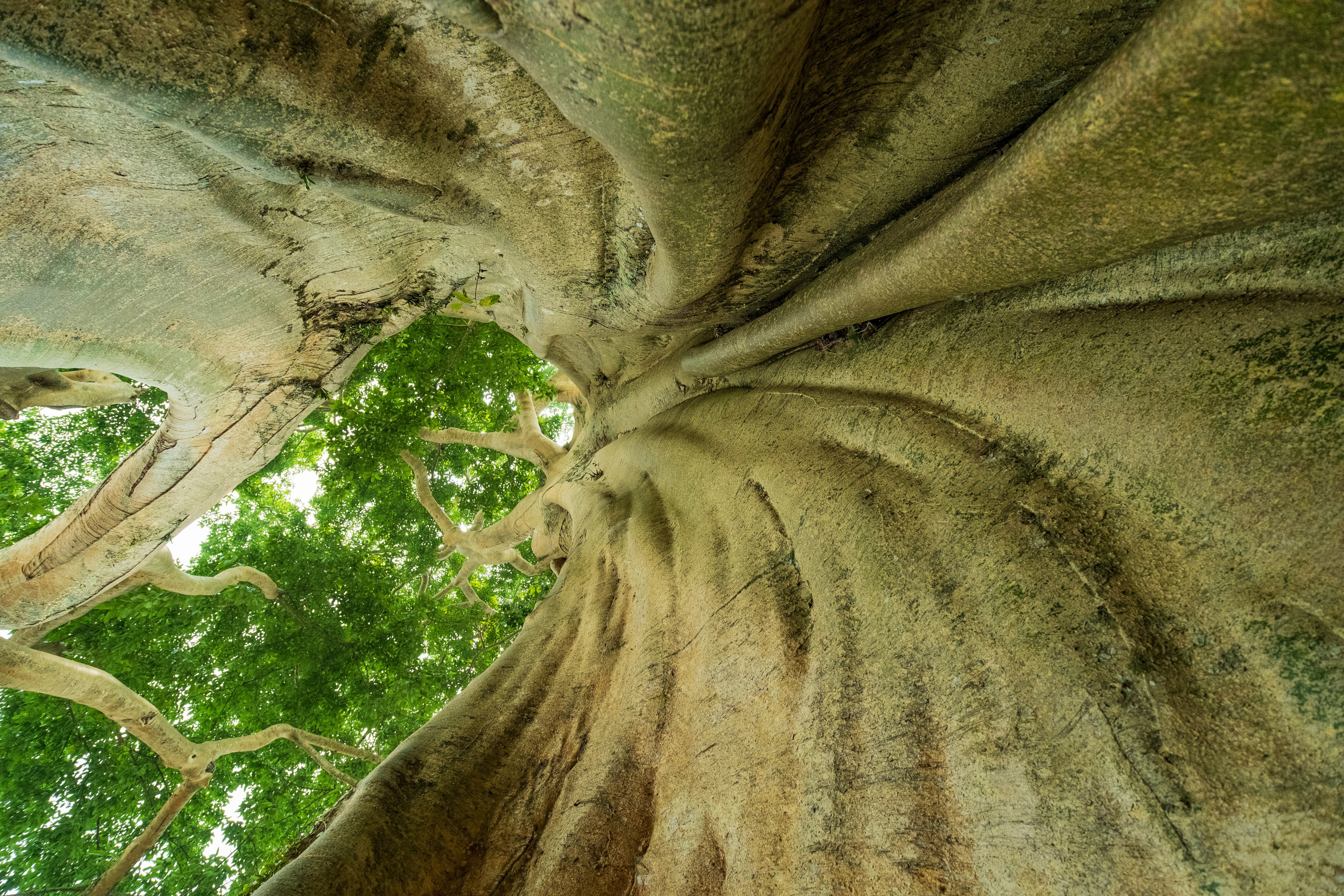 Остров Бали. Фотографии из путешествий