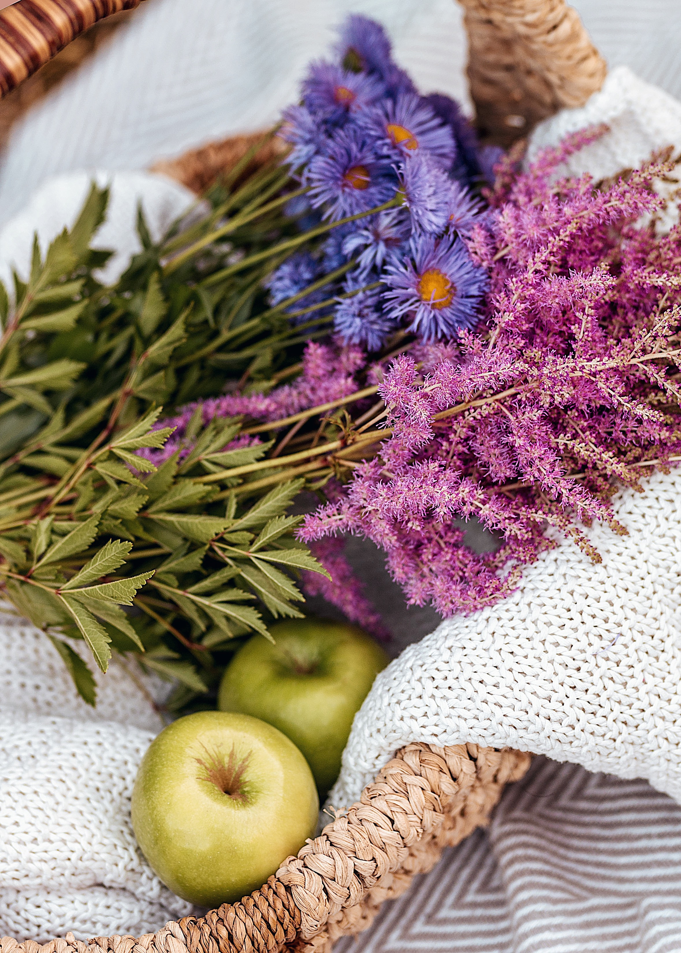 Эгина. Фотограф в Москве