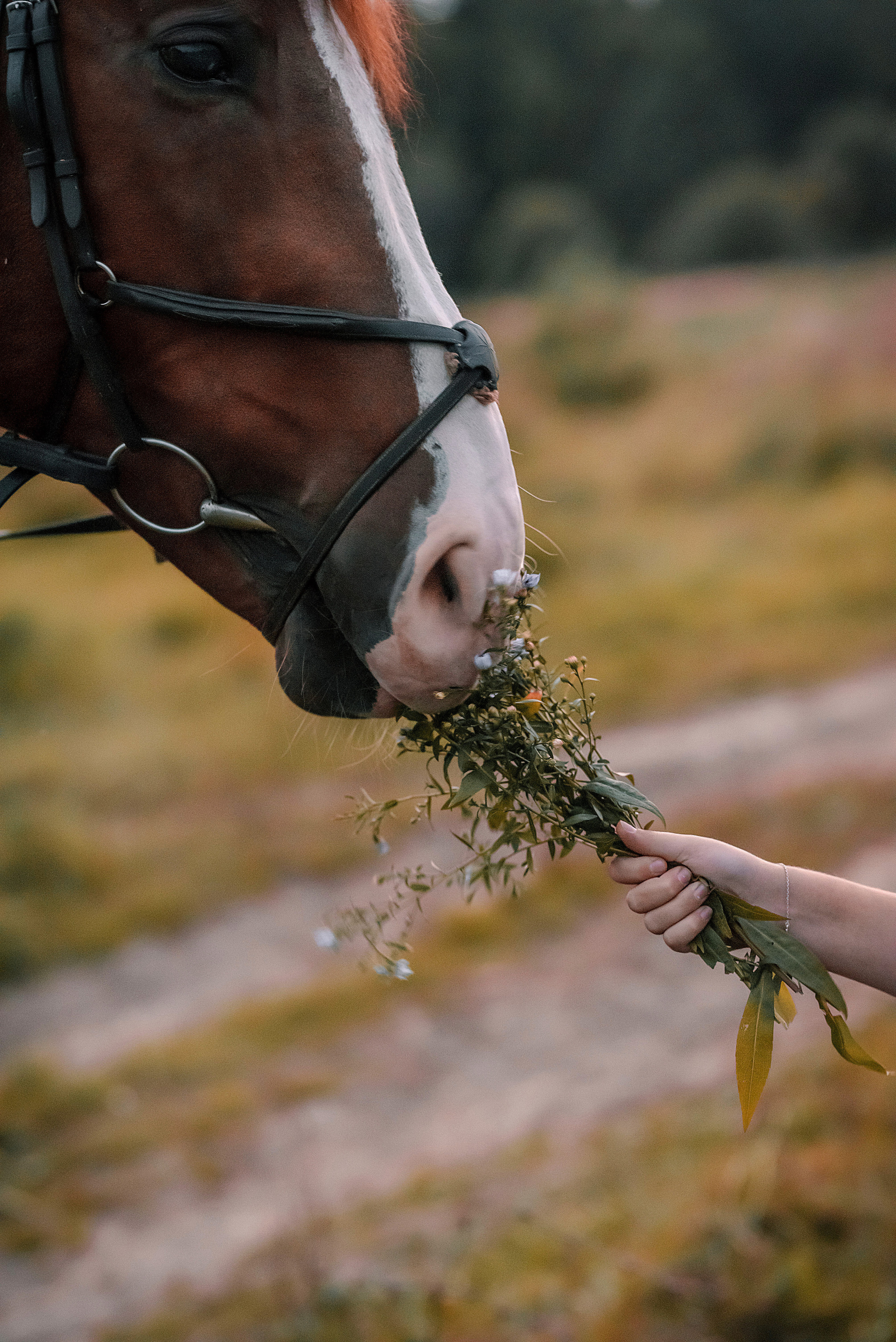 Настя 2. Фотограф в Москве