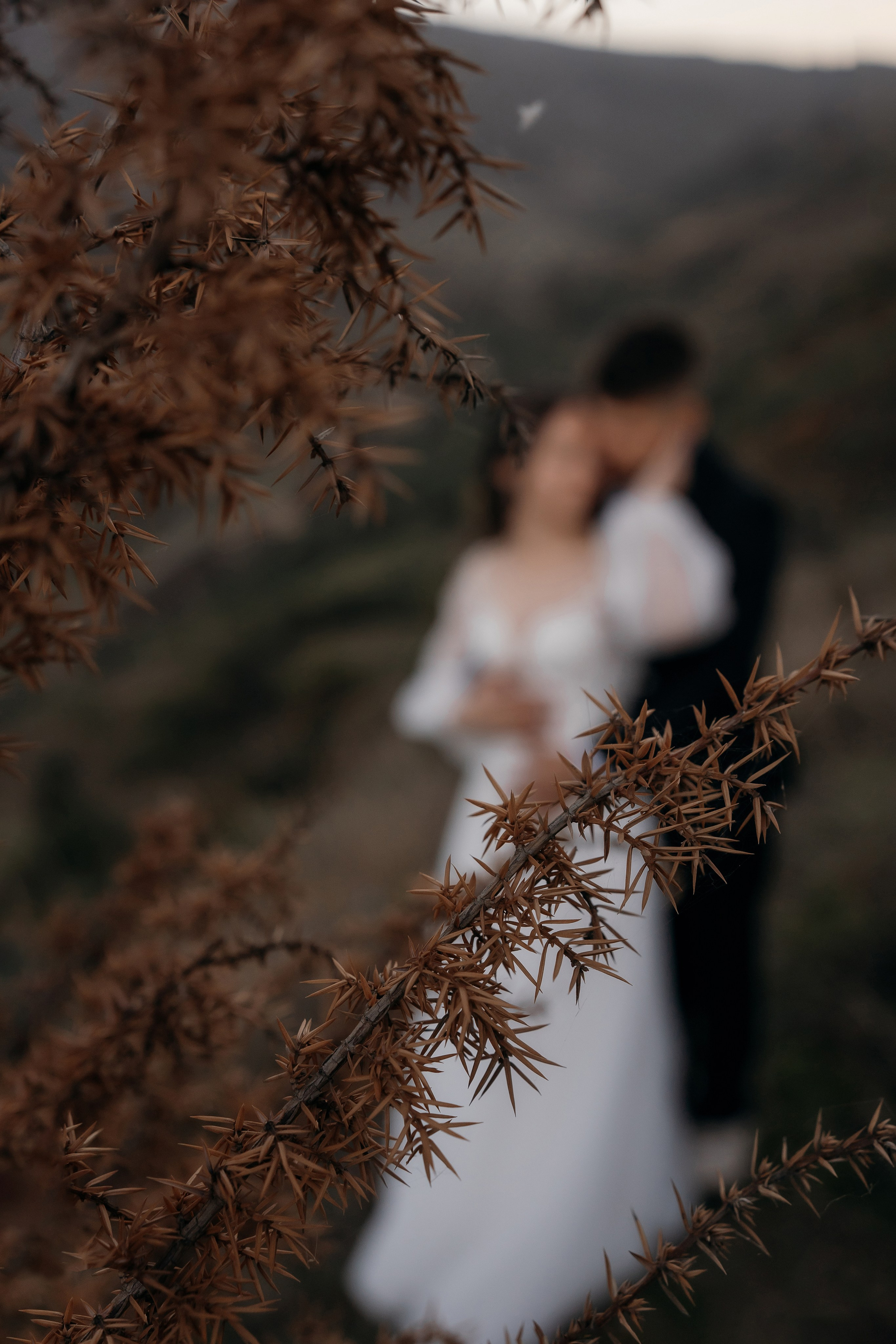 Борис и Татьяна. Свадебный и семейный фотограф Екатерина Коробова г. Моздок