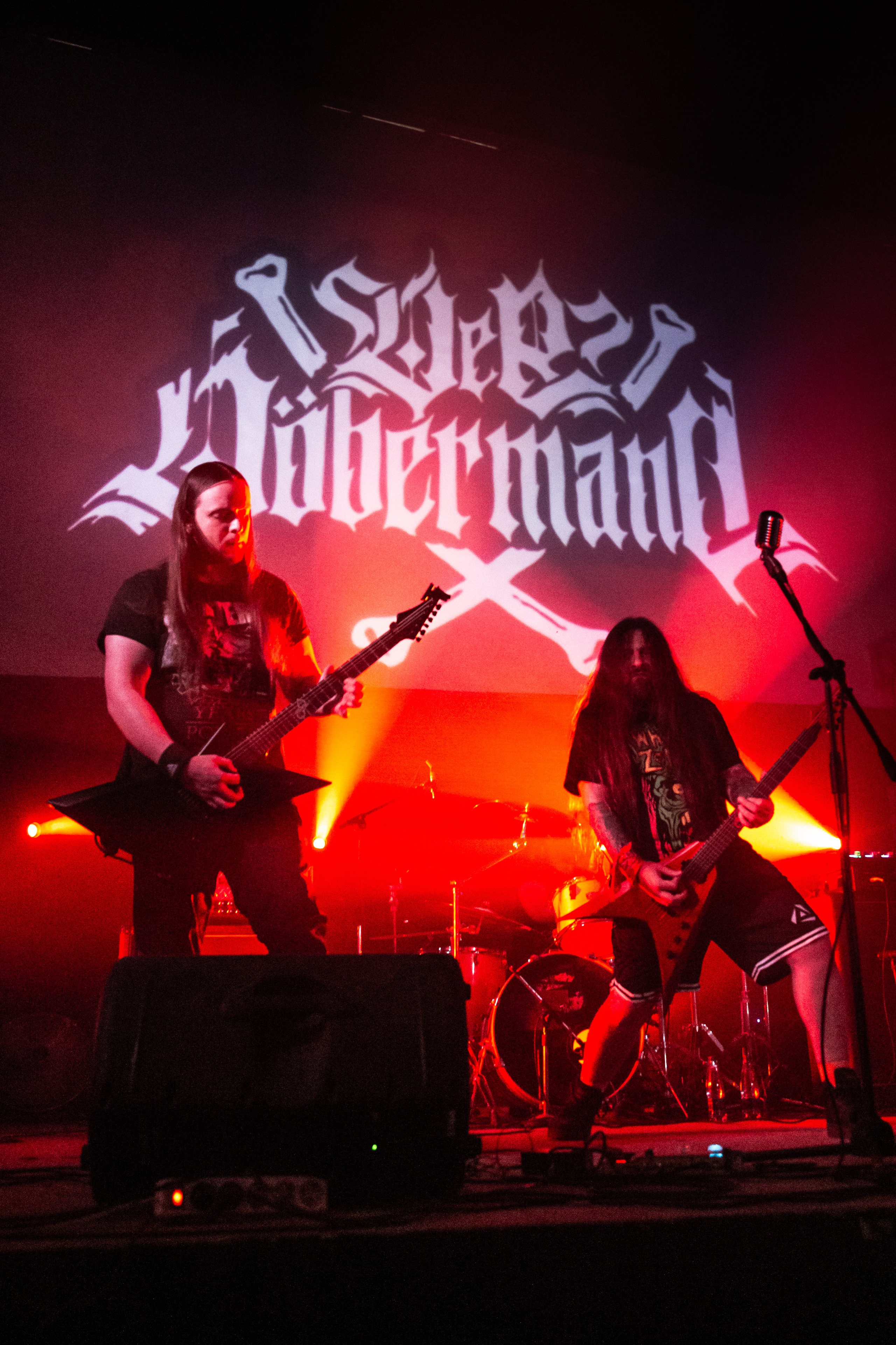 Der Döberman. Фотограф в Санкт-Петербурге Чумаков Семен