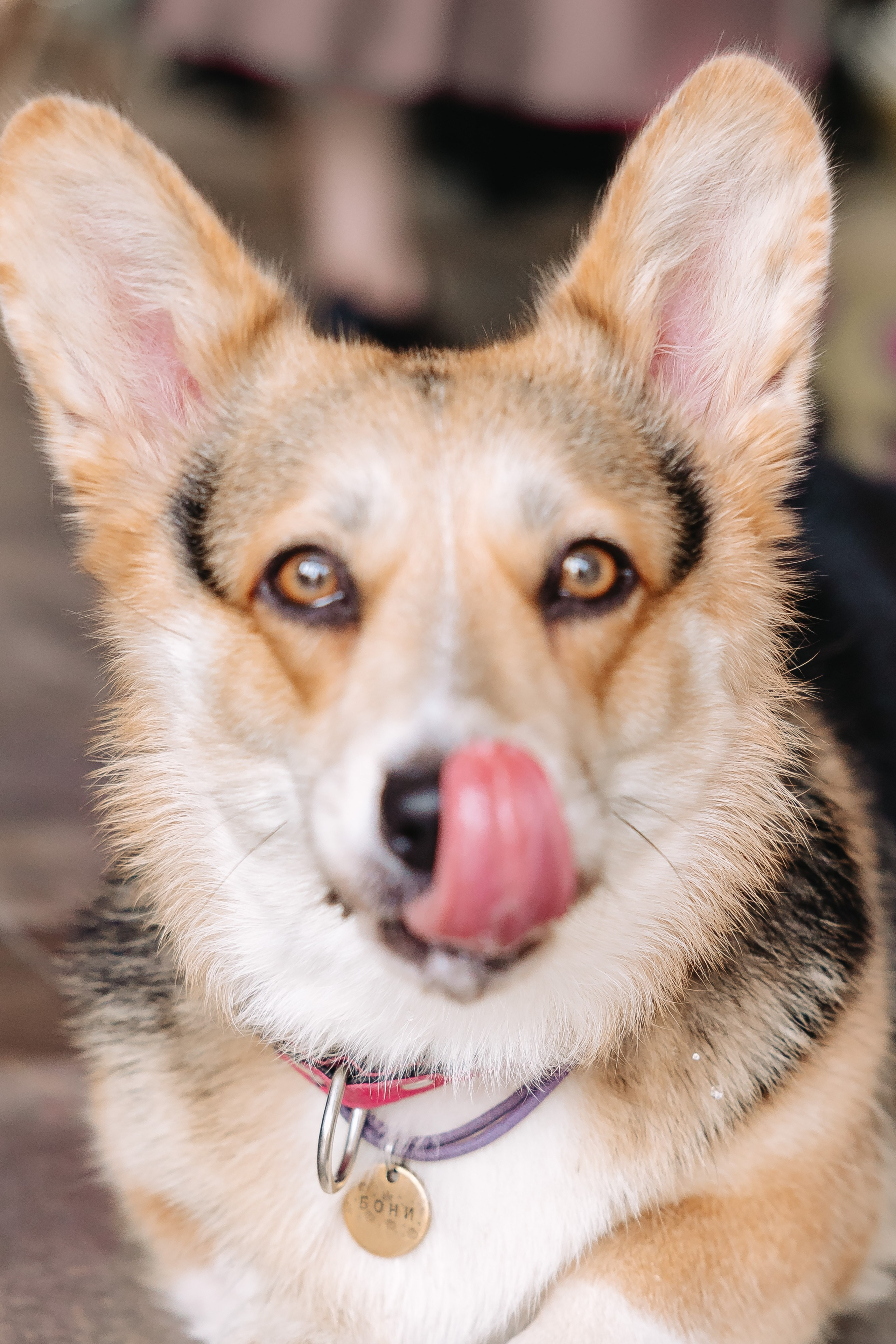 Свадебная съемка в Москве — Профессиональный свадебный фотограф для вашей свадьбы, фото и видео услуги. Фотограф Аделина Raw