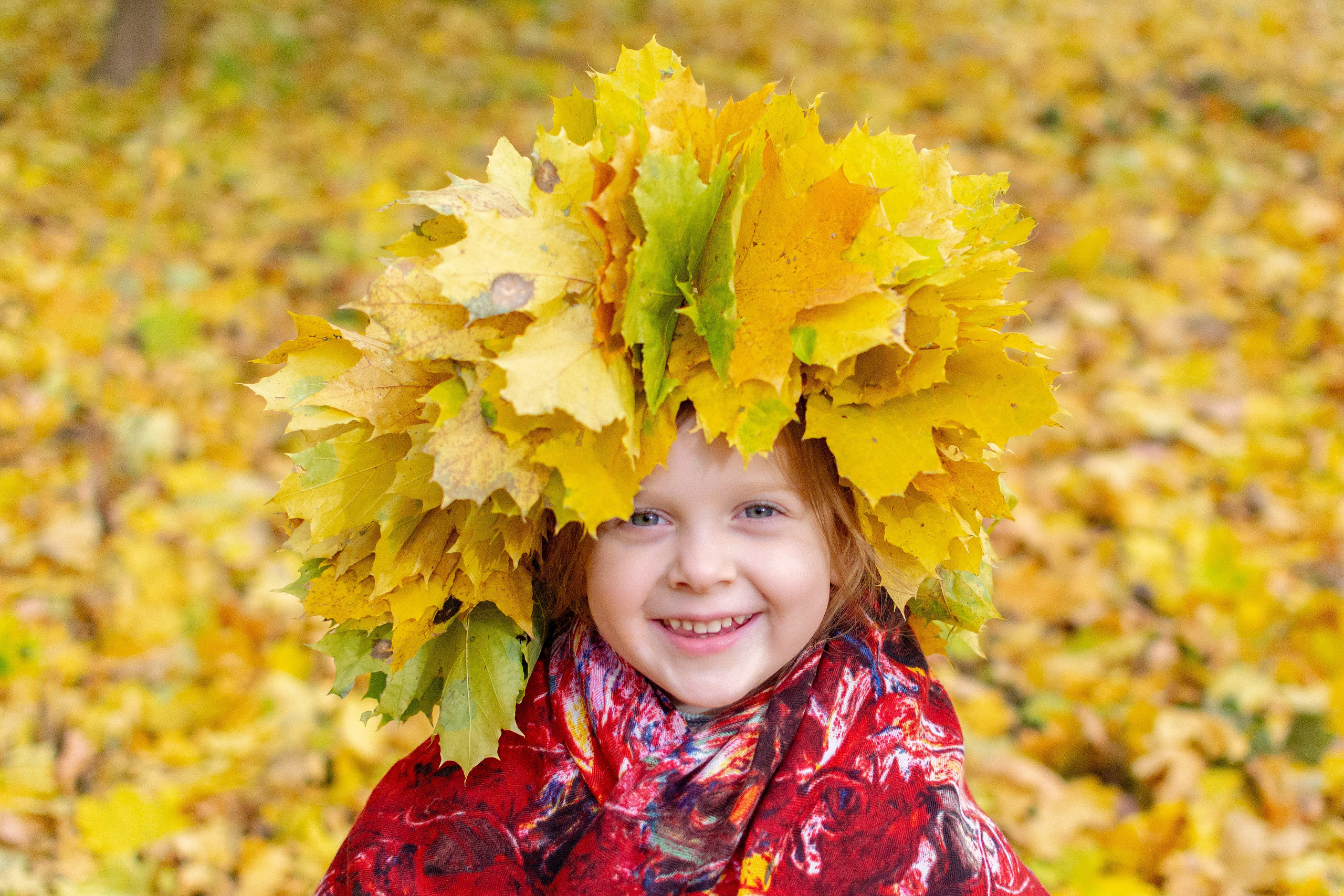 Старенький Nikon 3100 и nikkor 35 mm 1.8 (фото проявленные из RAW-NEF файлов). Фотограф в Туле Крупский АнДРей. Фотостудия «КАДР71» в Туле