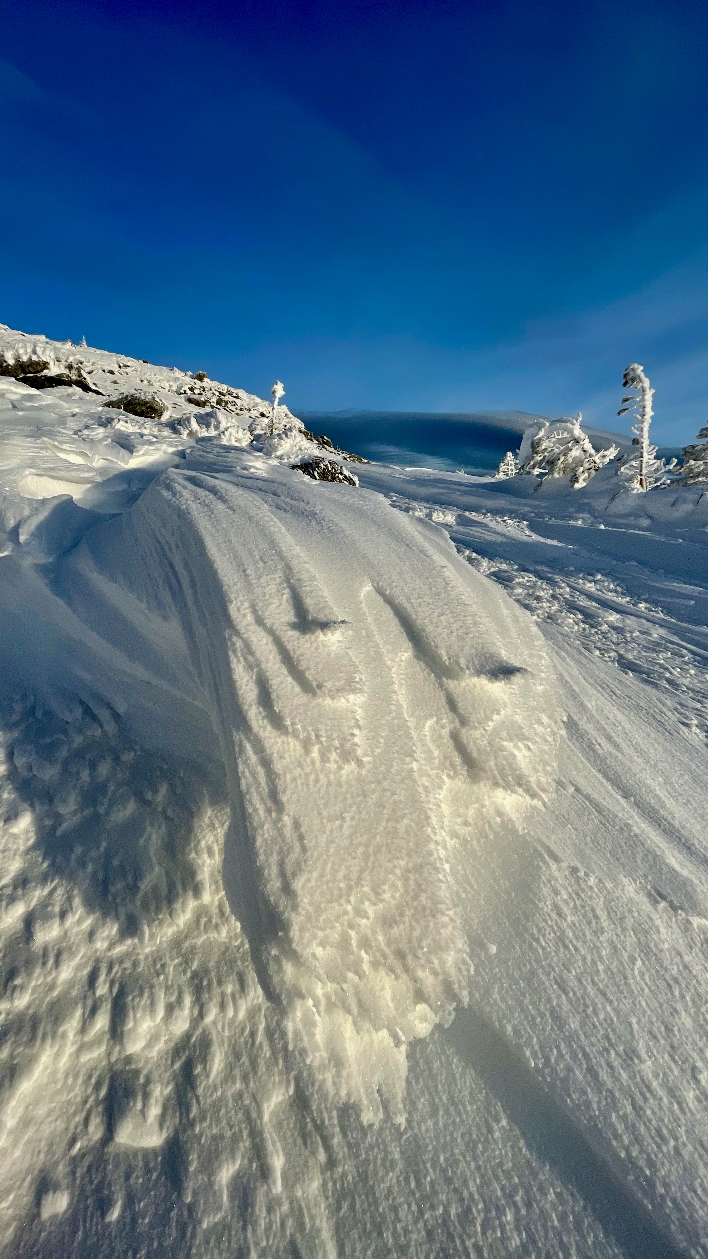 IPhone. Василий Буйлов|Vasilii Builov