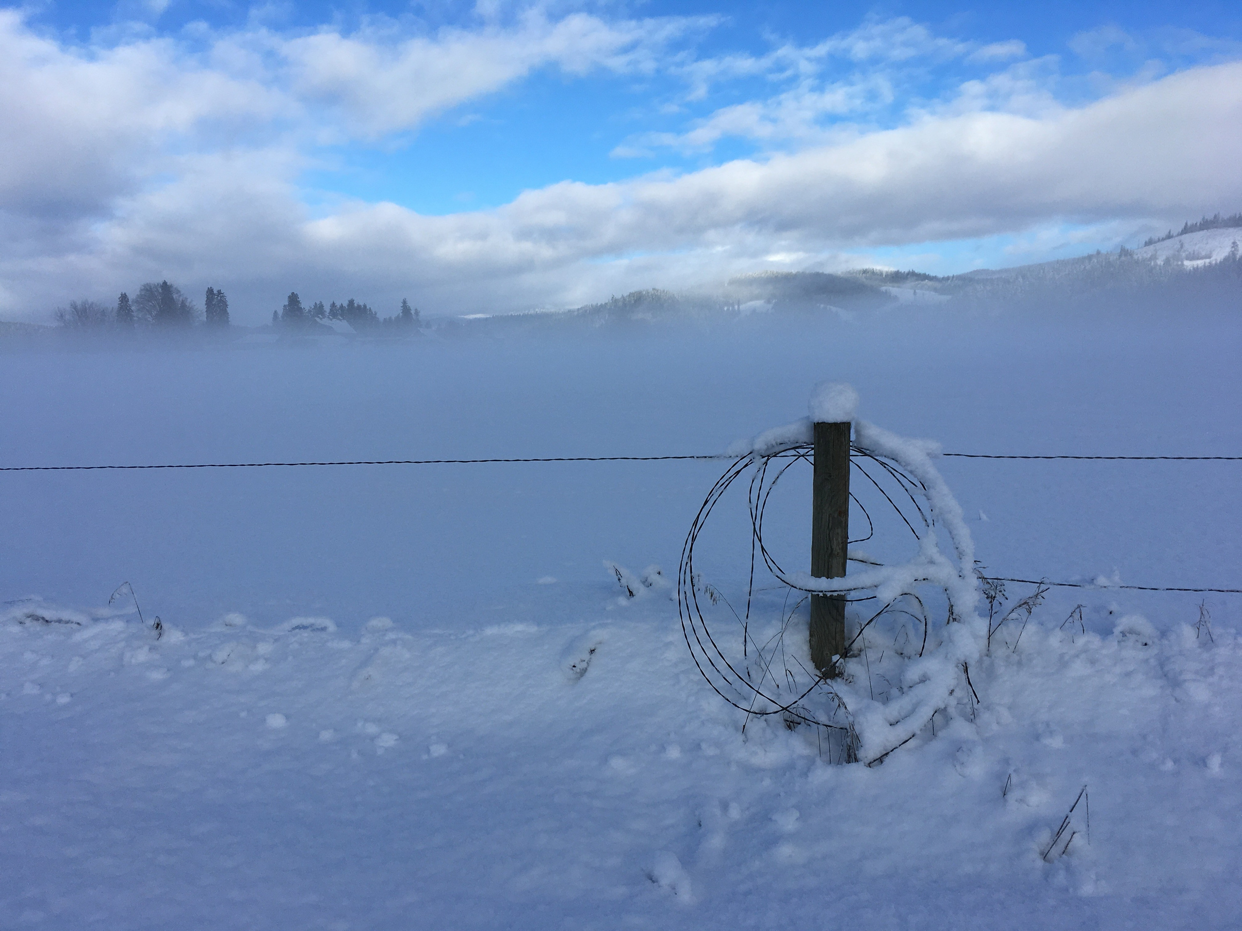 Природа. Василий Буйлов|Vasilii Builov