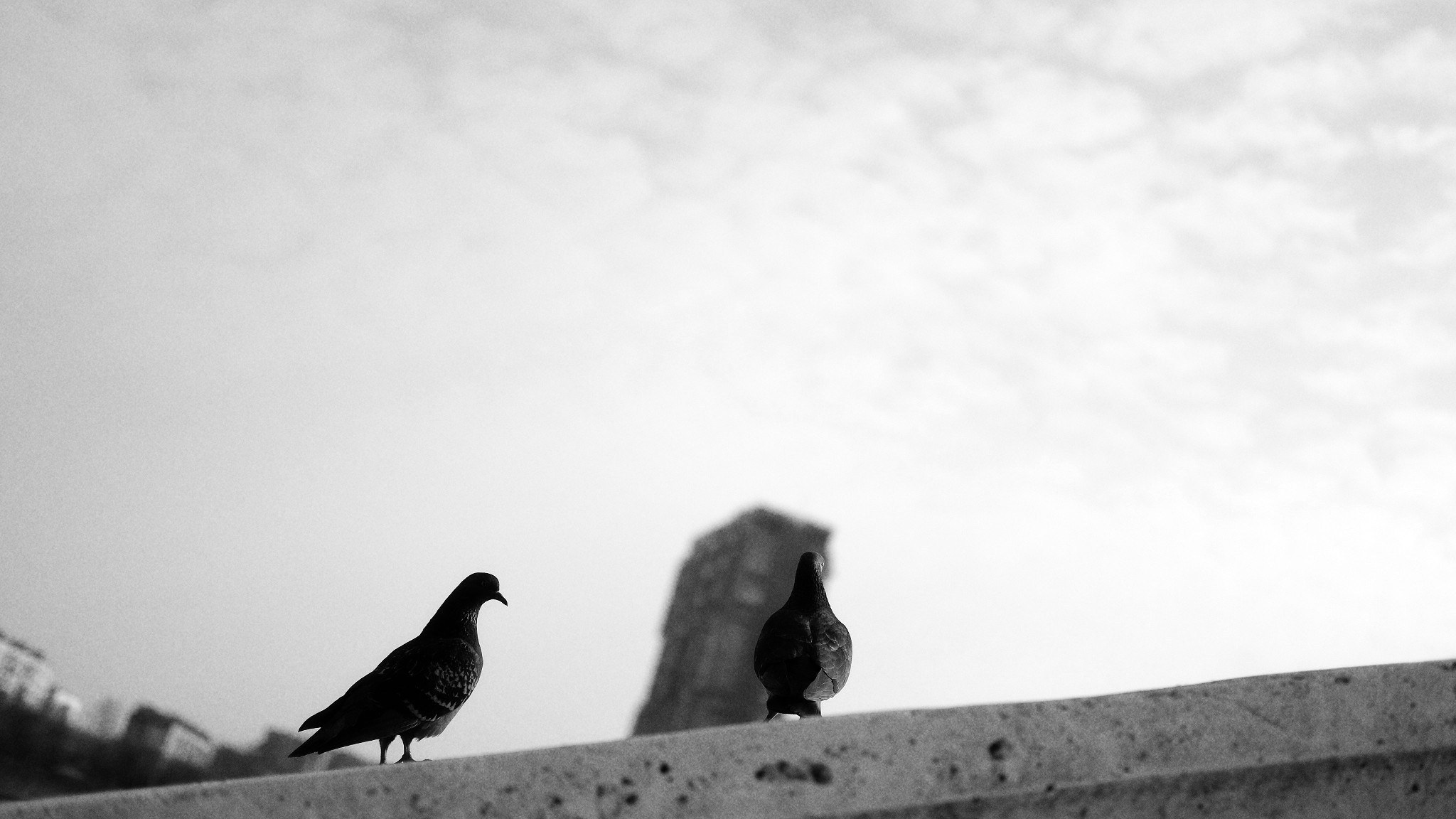 Репортажный и портретный фотограф Василиса Глухова