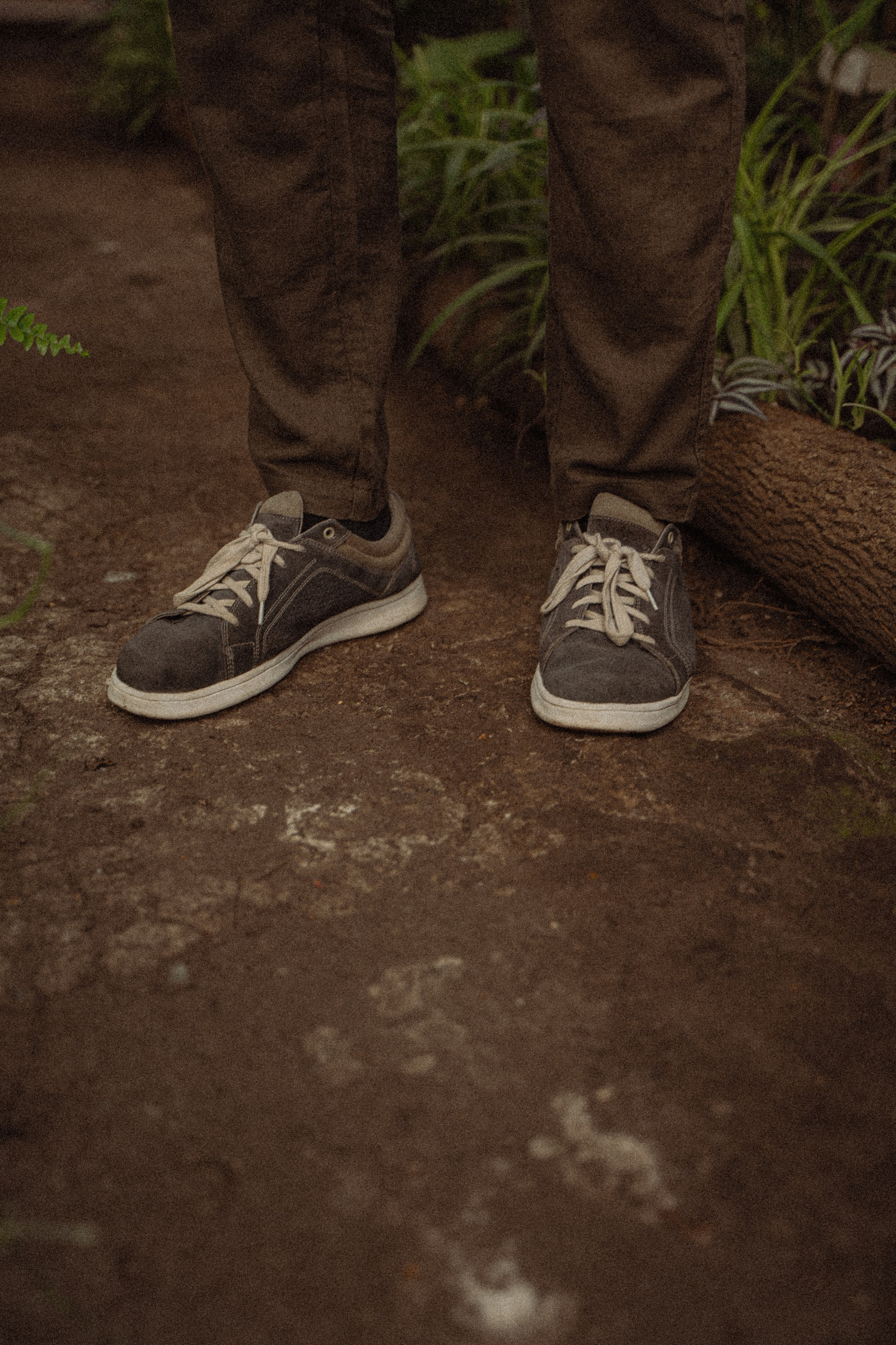 Ботанический сад. Фотограф Мария Зайчик