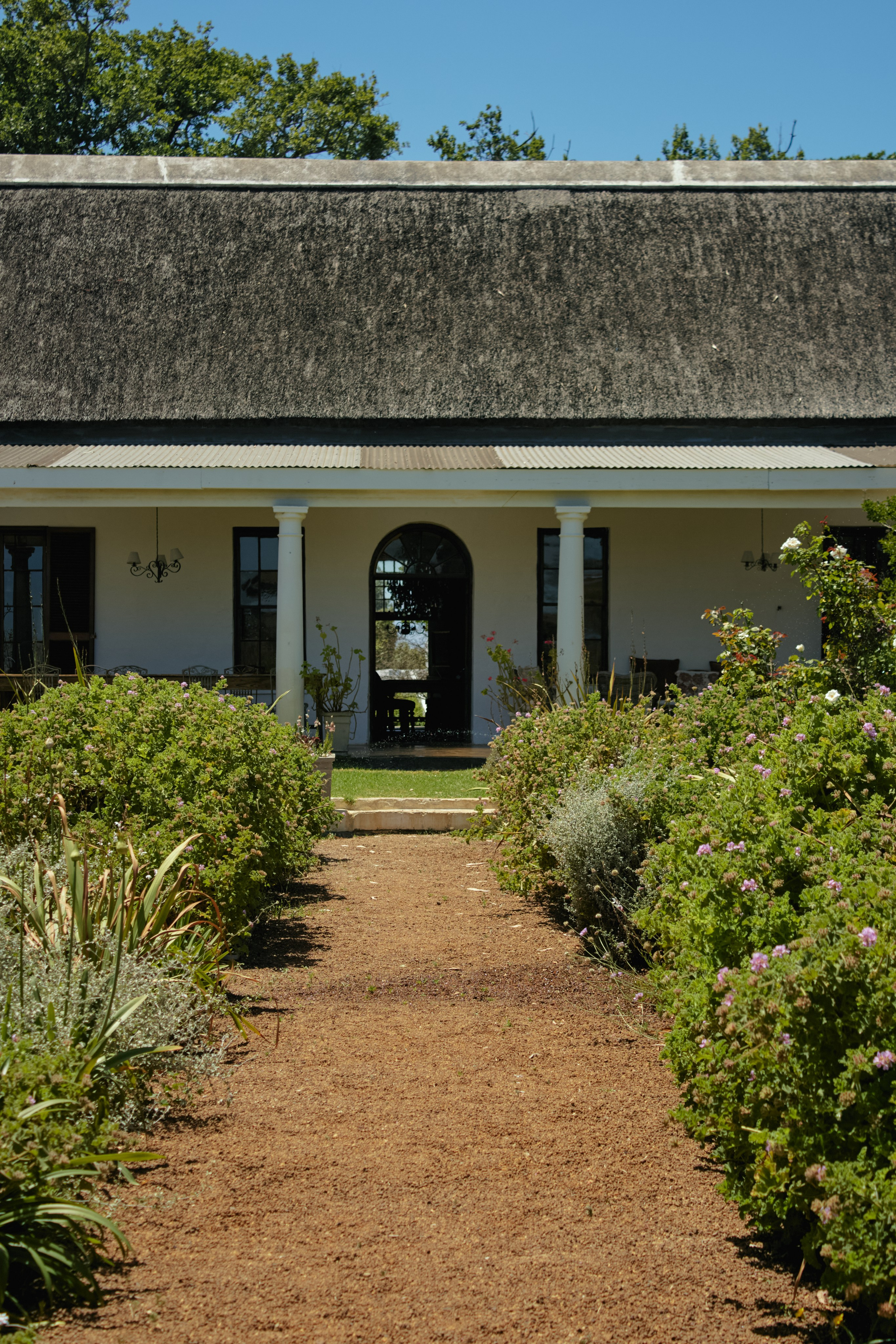 ЮАР. Профессиональный Фотограф во Владимире, в Москве и в Суздале — Полина Романычева