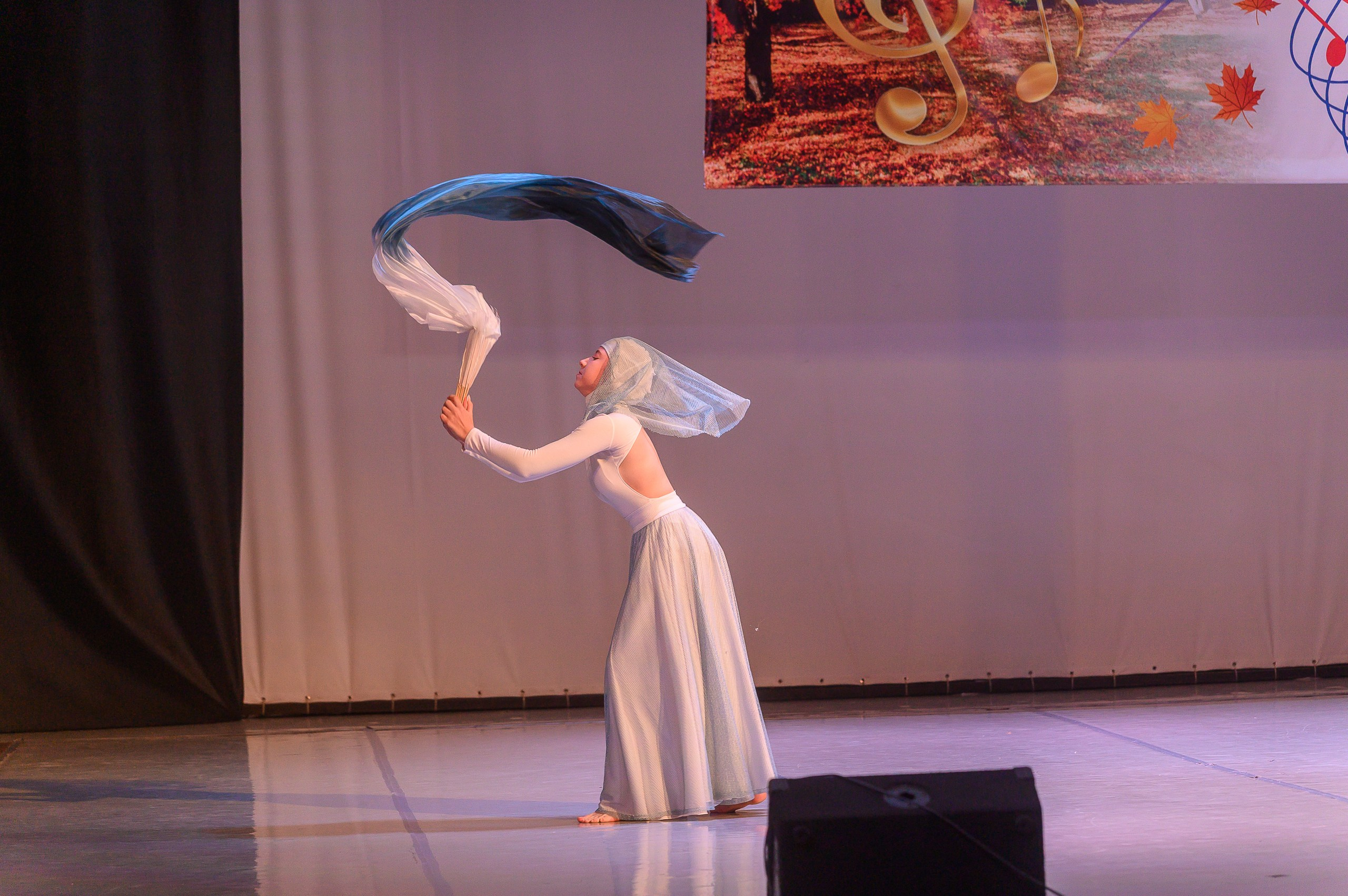 Конкурс «Танцевальная Осень». Фотограф в Кемерово Владислав Шульц