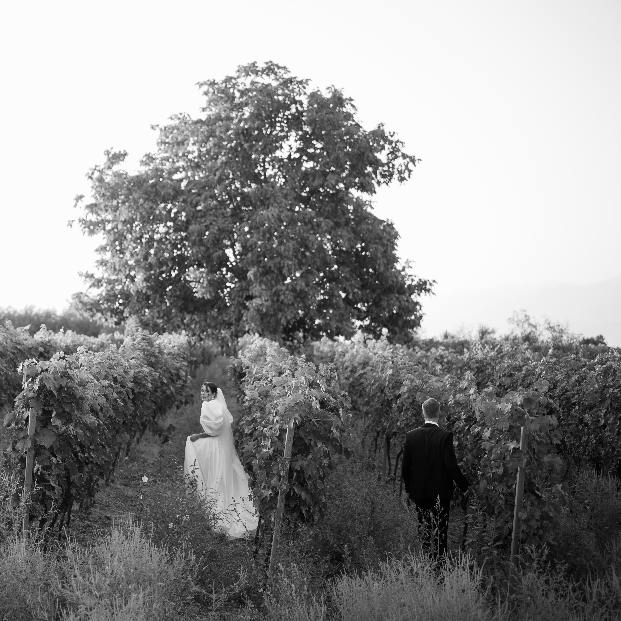 Max & Anna. Агентство по организации мероприятий