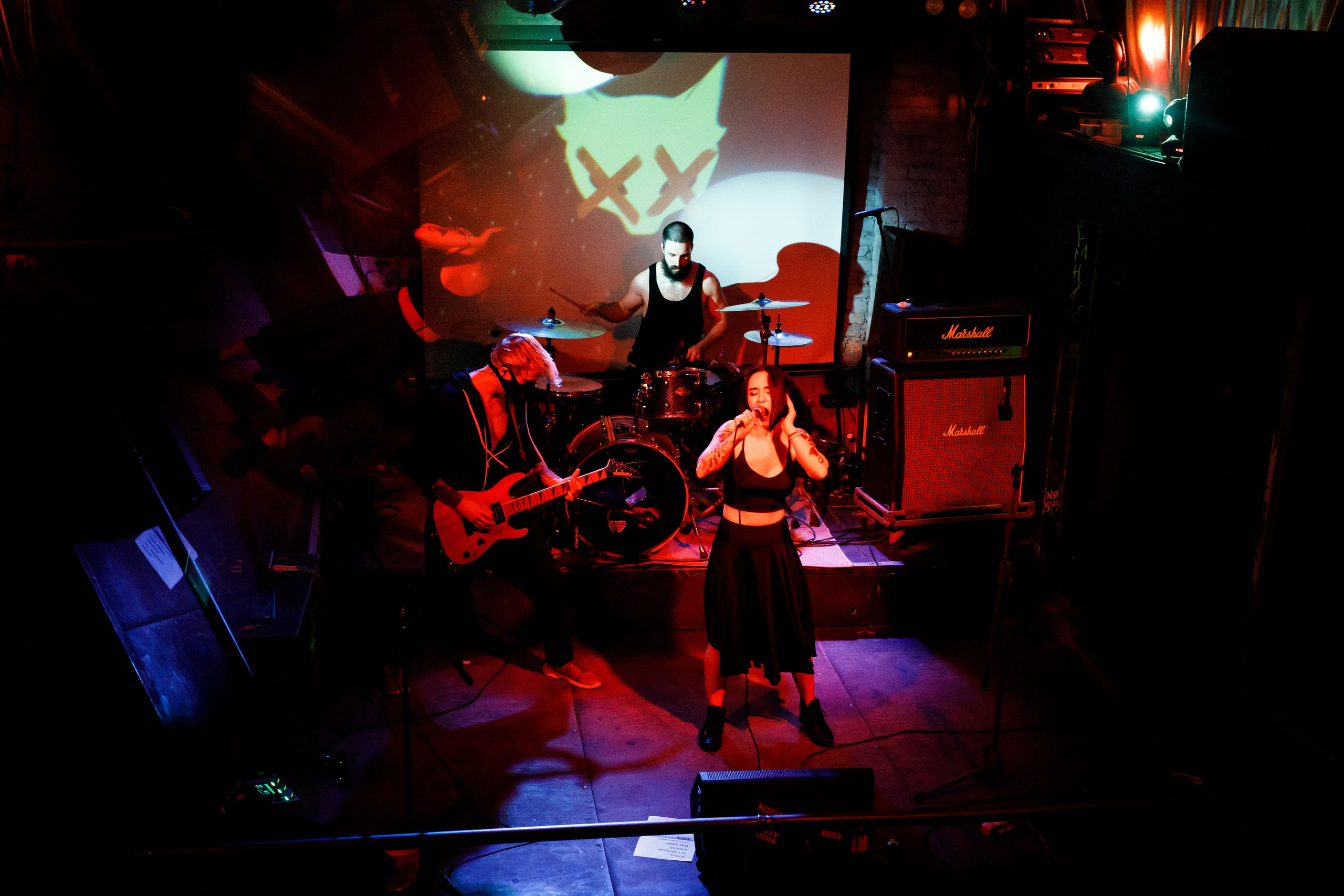 THE KAT IS DEAD. Фотограф Елена Богачева (lenalena_na_na_na)