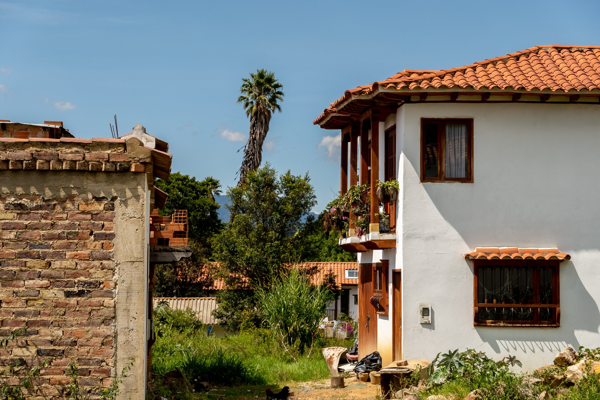 Алексей Скоробогатько, фотограф.  Колумбия Вилья-де-Лейва. Alexey Skorobogatko, photographer, Colombia Villa de Leyva. Фотограф Алексей Скоробогатько