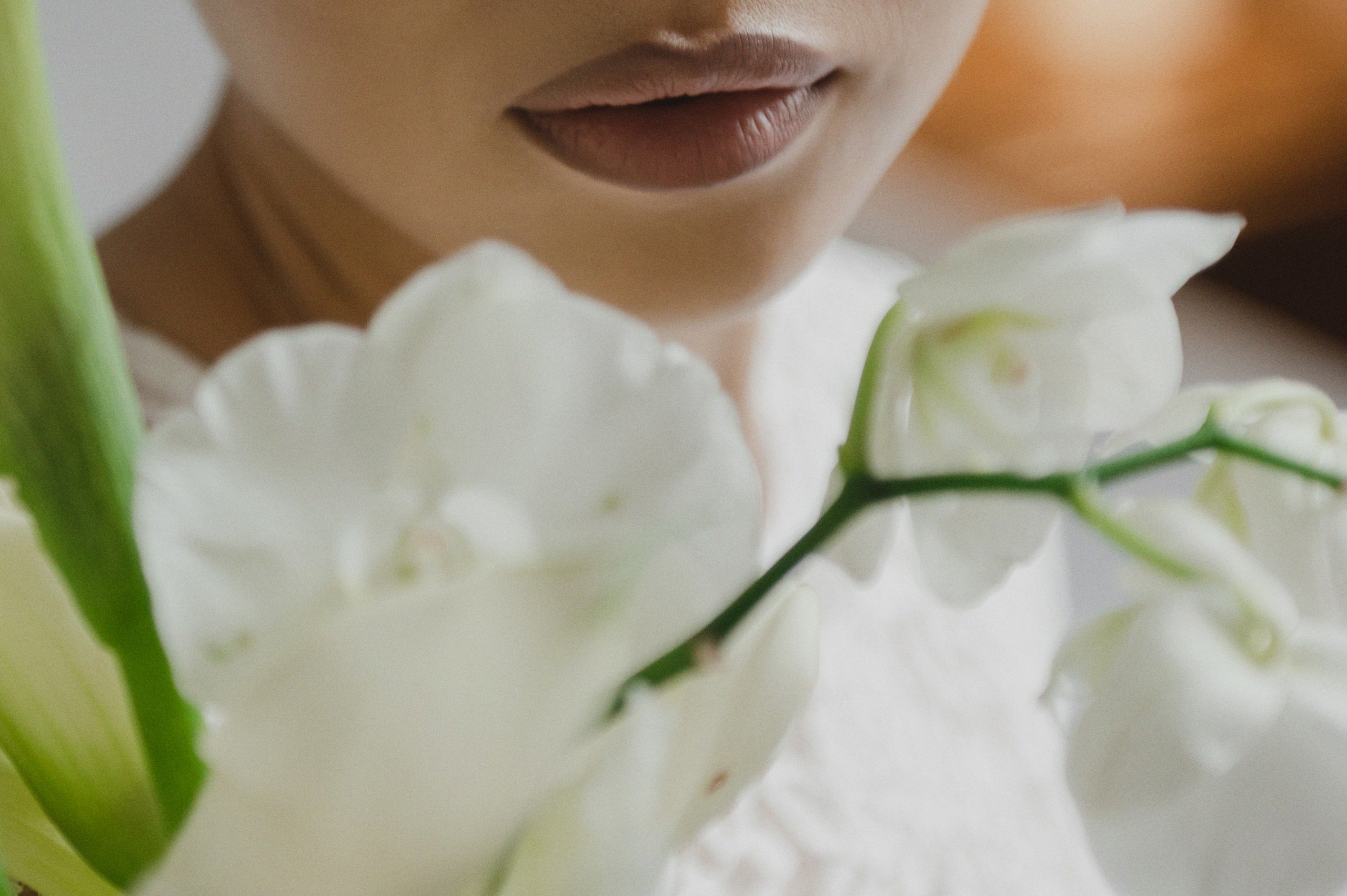 Юля и Ерлан. Свадебный и семейный фотограф Катя Шайни