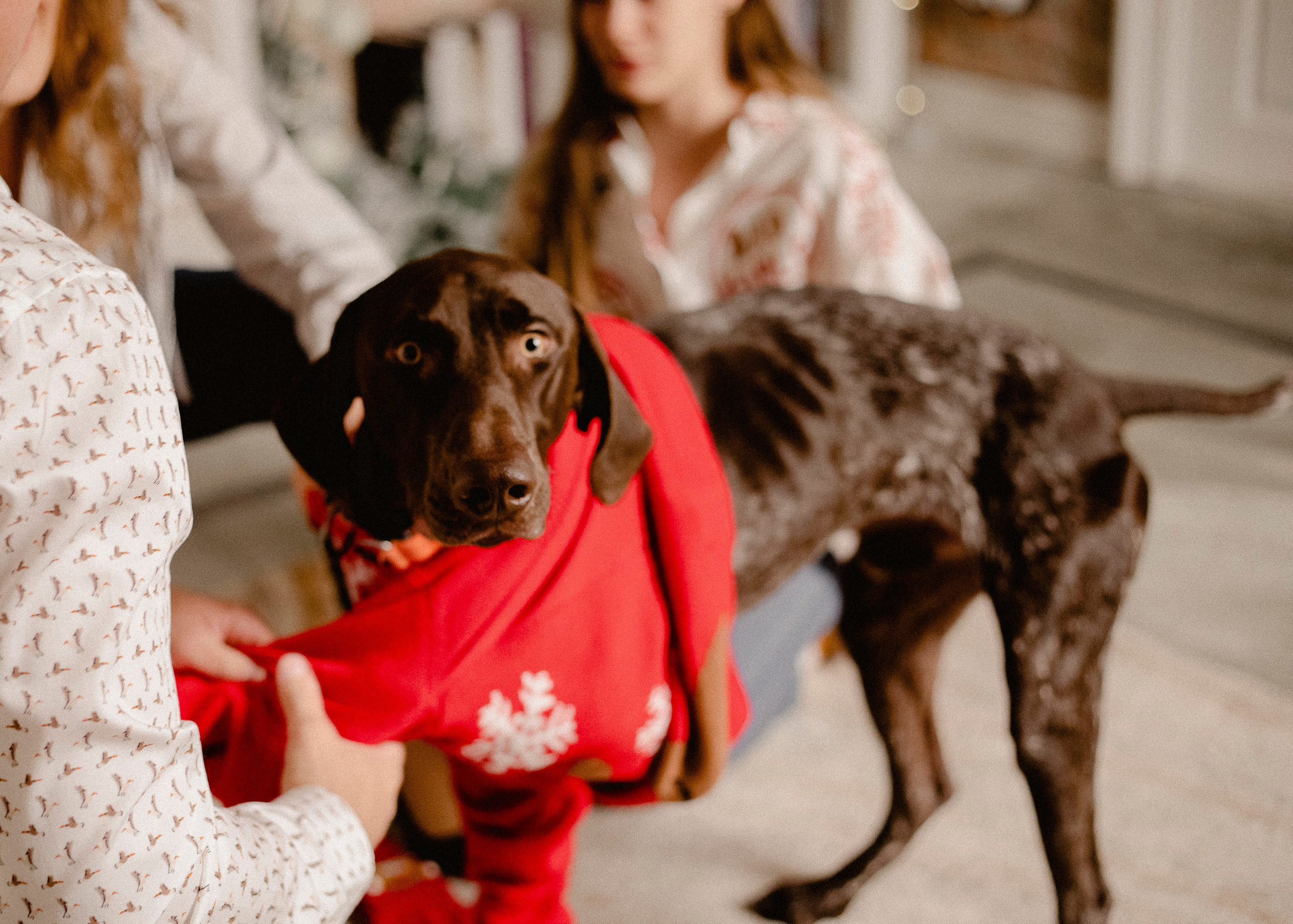 Новый Год. Семейный фотограф Хабаровск