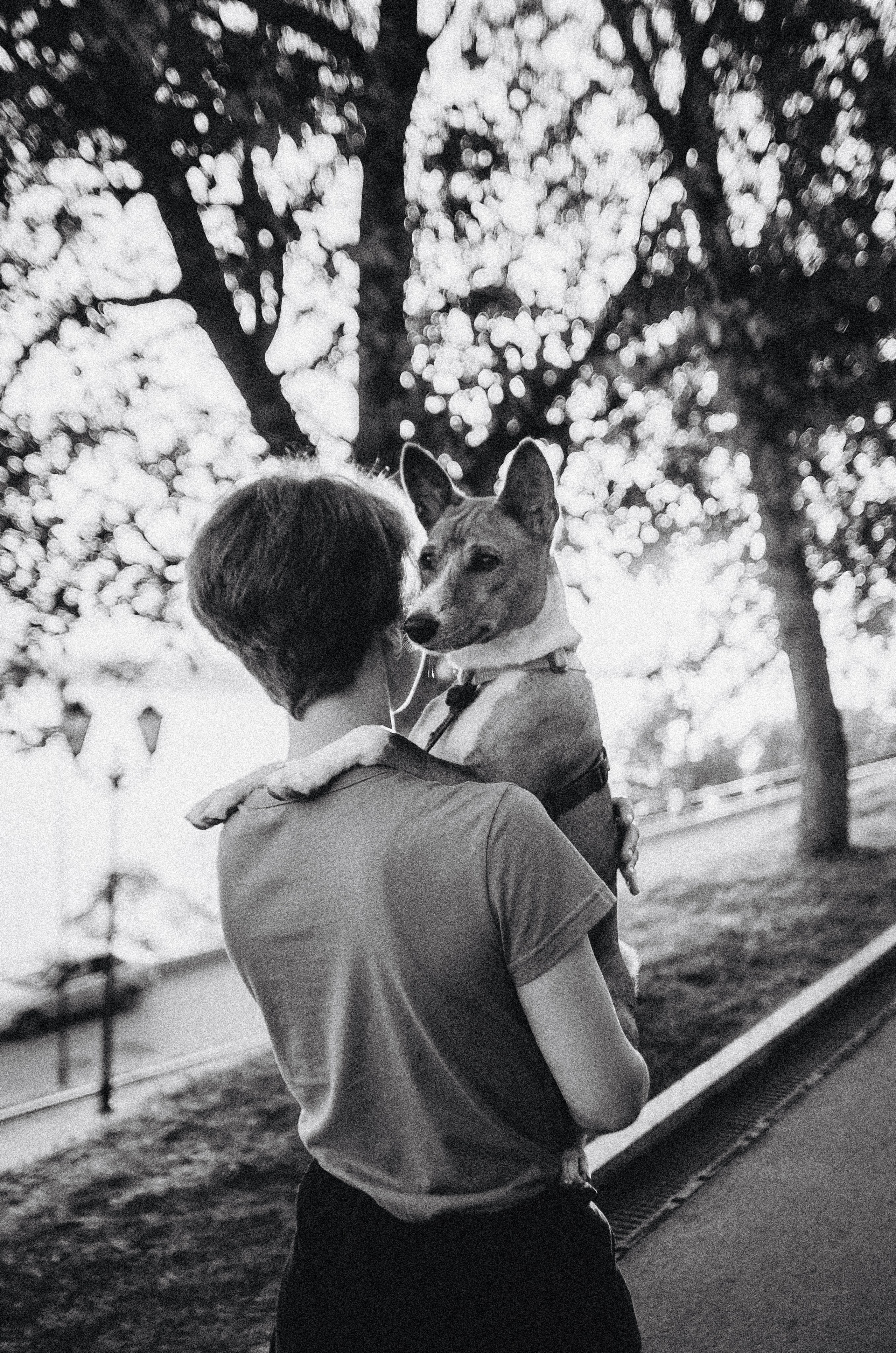 Снежана и Мэнни. Фотограф-анималист Богданова Полина