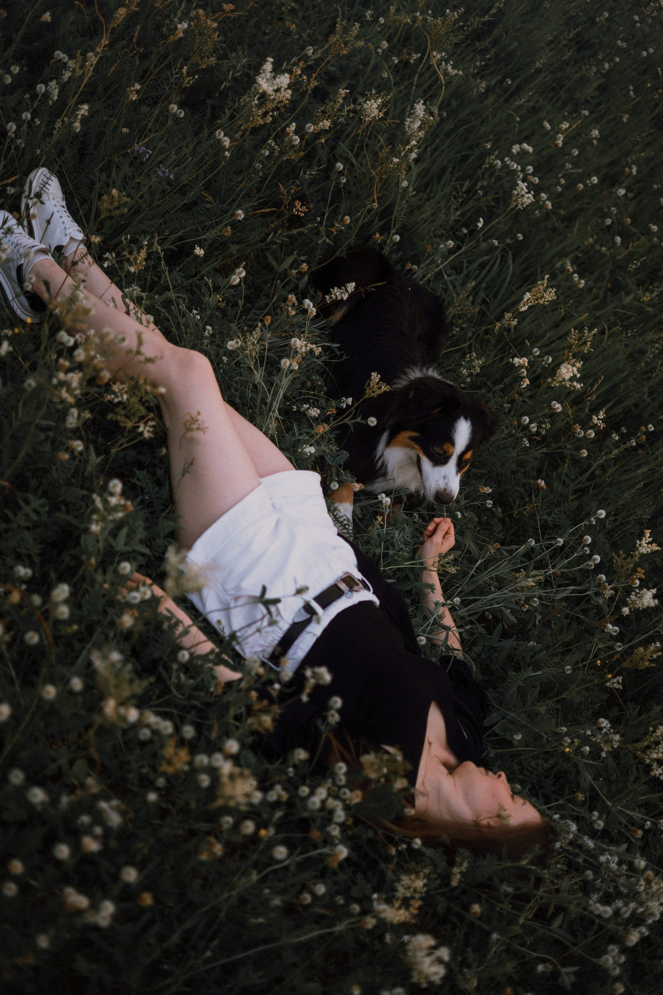 Яна и Уга. Фотограф-анималист Богданова Полина