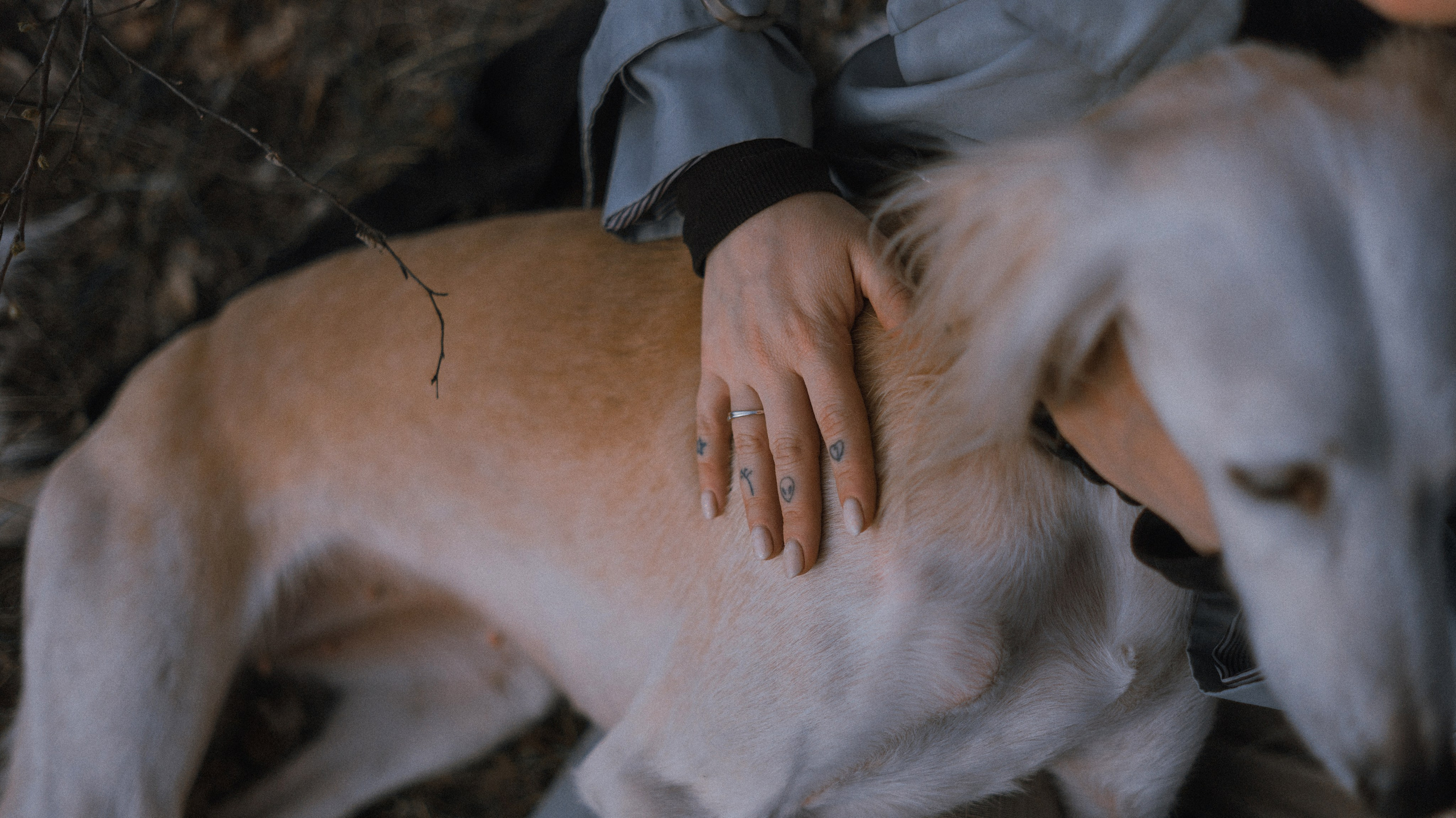 Настя и Бейда. Фотограф-анималист Богданова Полина