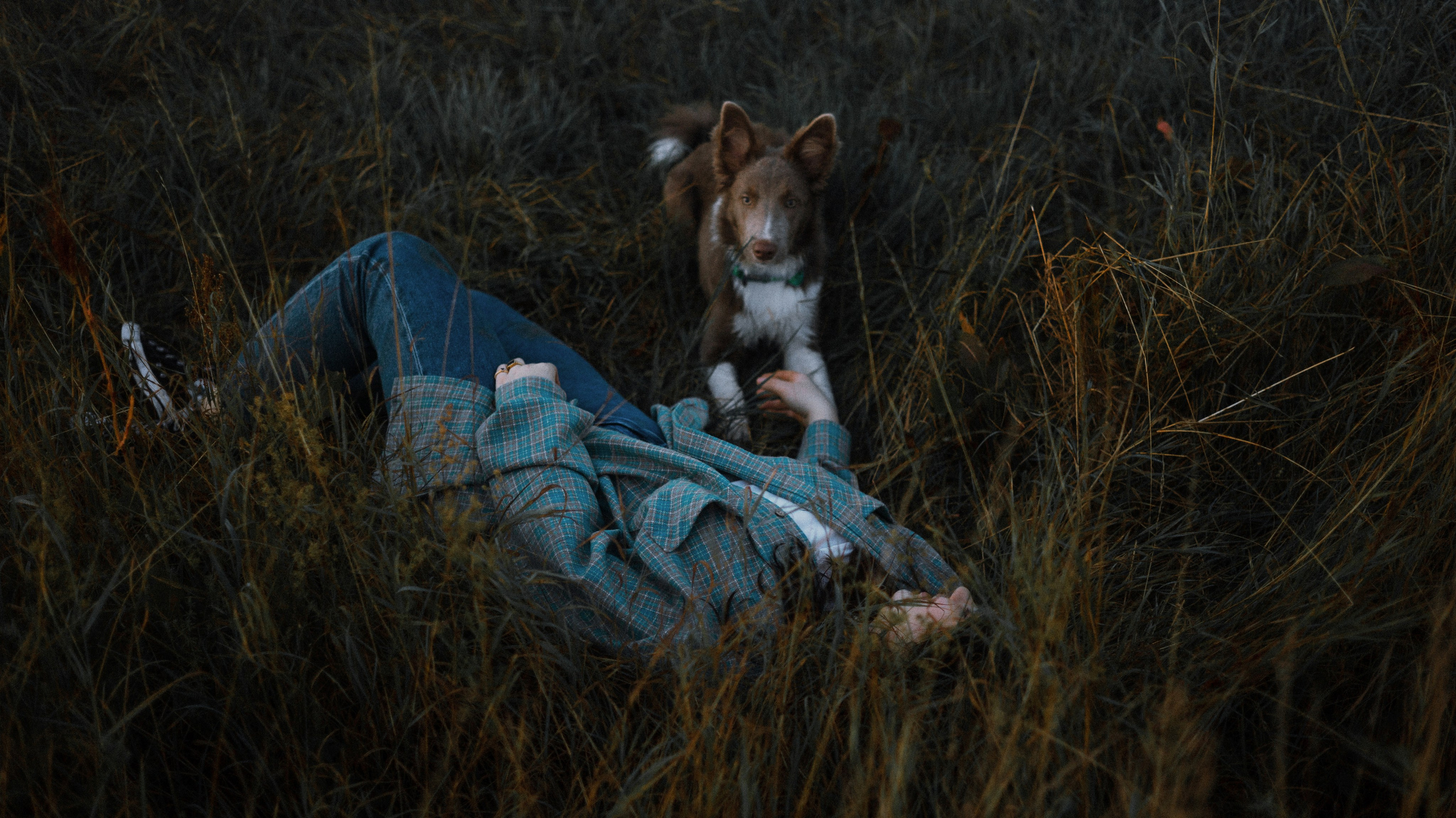Полина и Паддингтон. Фотограф-анималист Богданова Полина