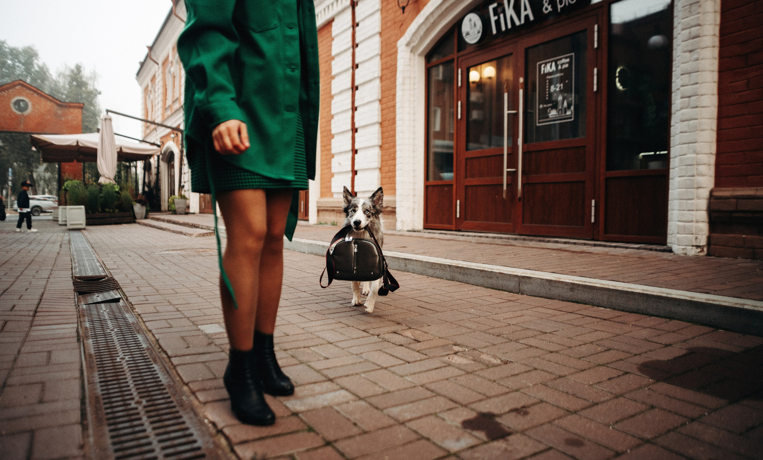 Диана и Робин. Фотограф-анималист Богданова Полина