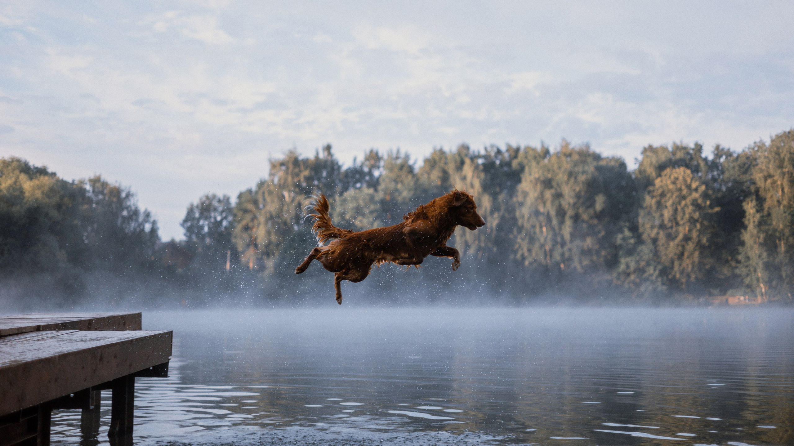 Ксюша и Мэди. Фотограф-анималист Богданова Полина