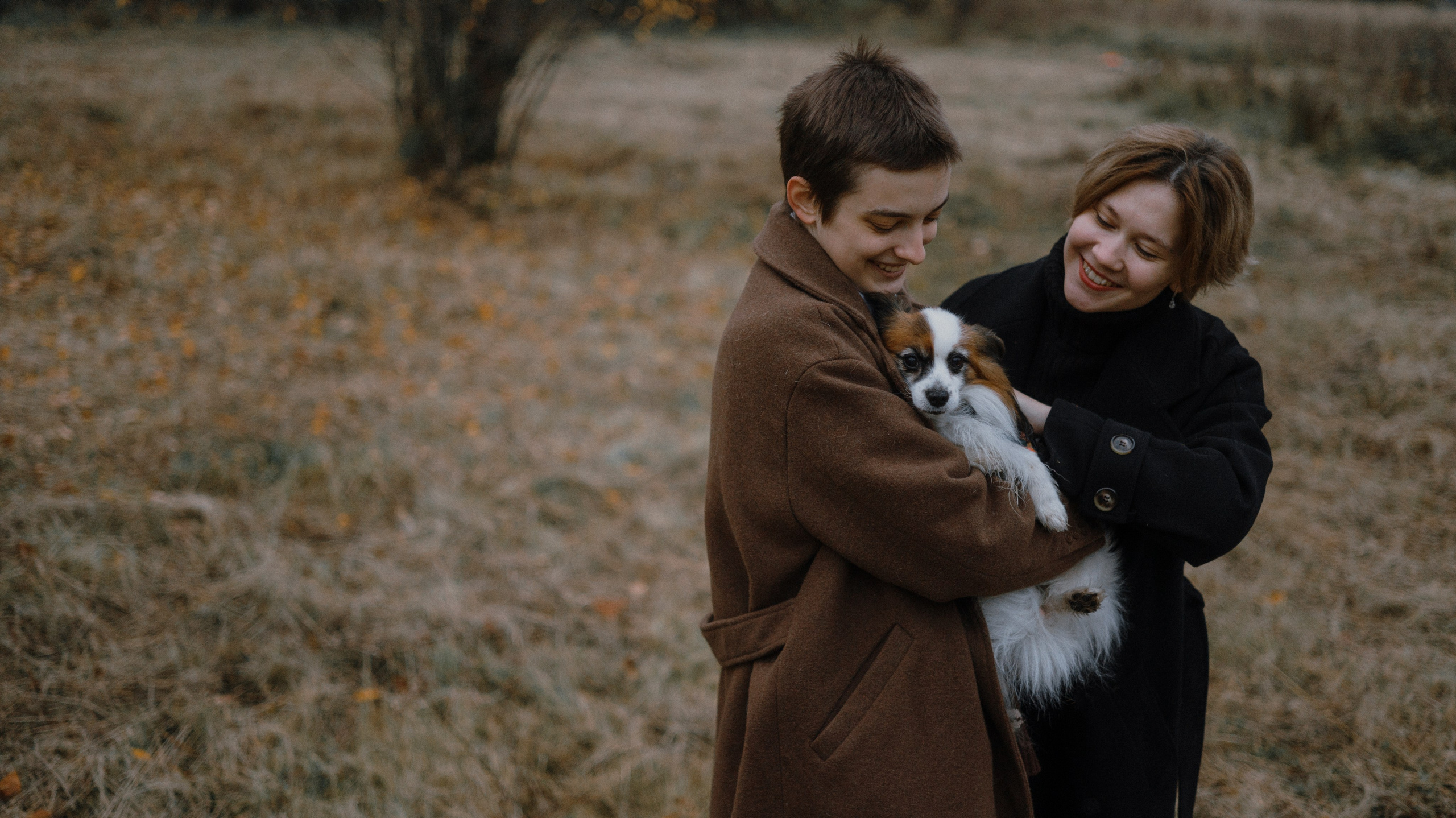 Маша, Катя, Астрид и Мася. Фотограф-анималист Богданова Полина