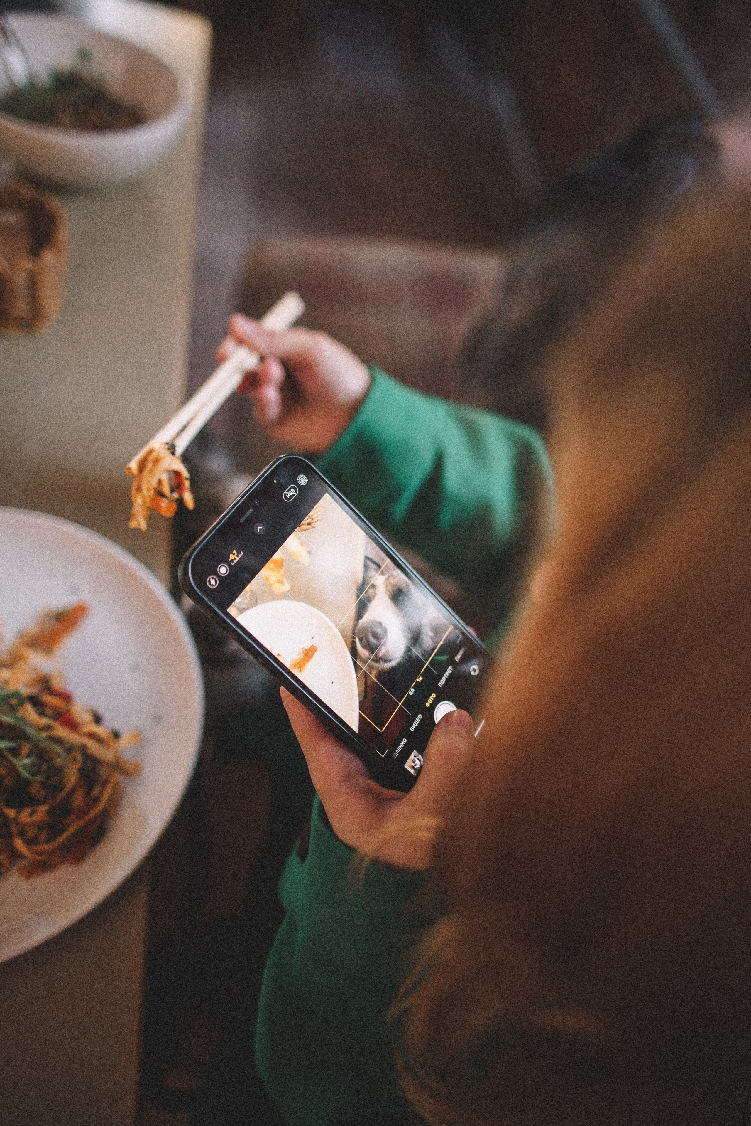 Диана и Робин. Фотограф-анималист Богданова Полина