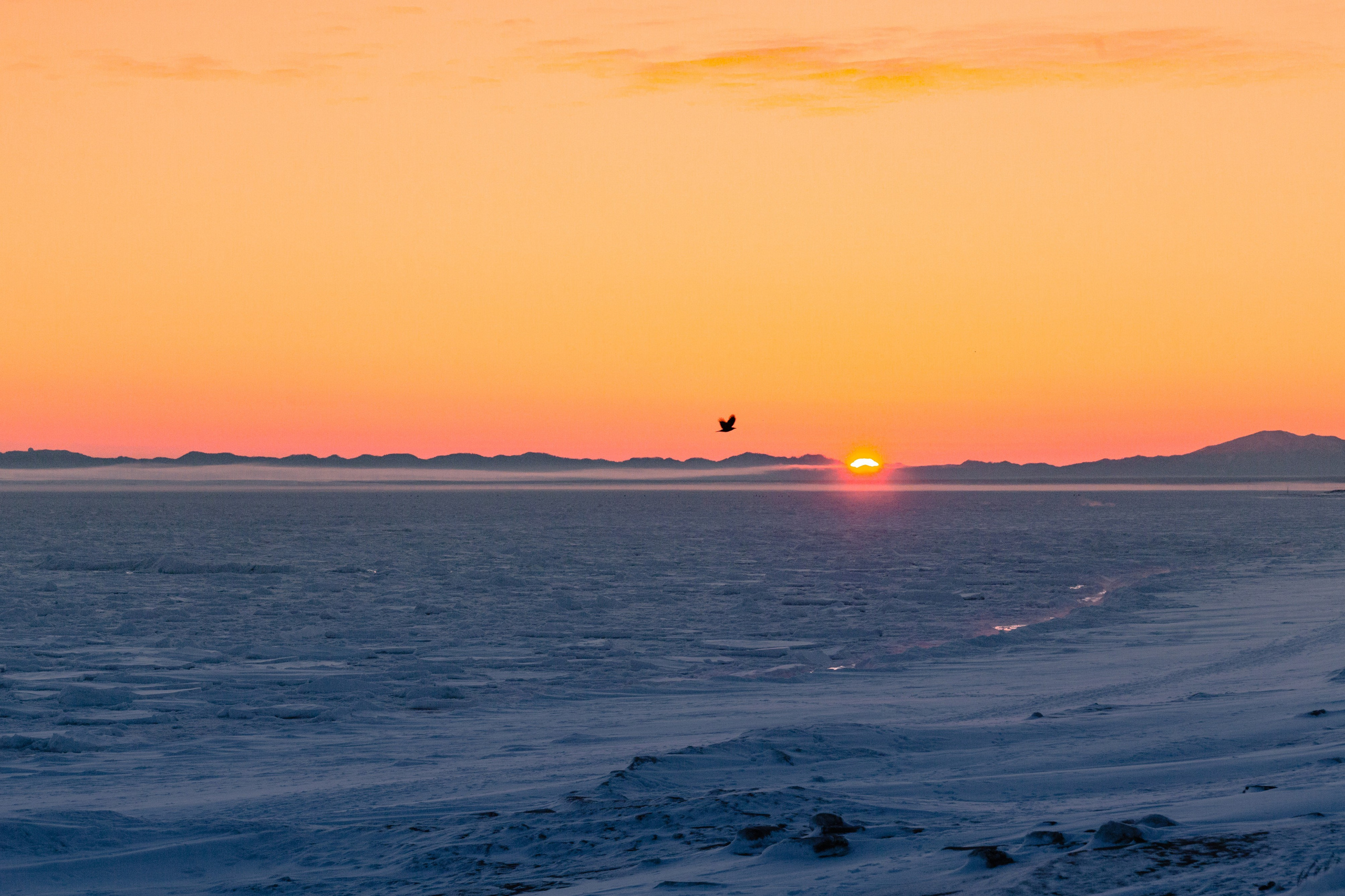 О.Сахалин. Фотограф. г. Южно-Сахалинск. Олег Толстов