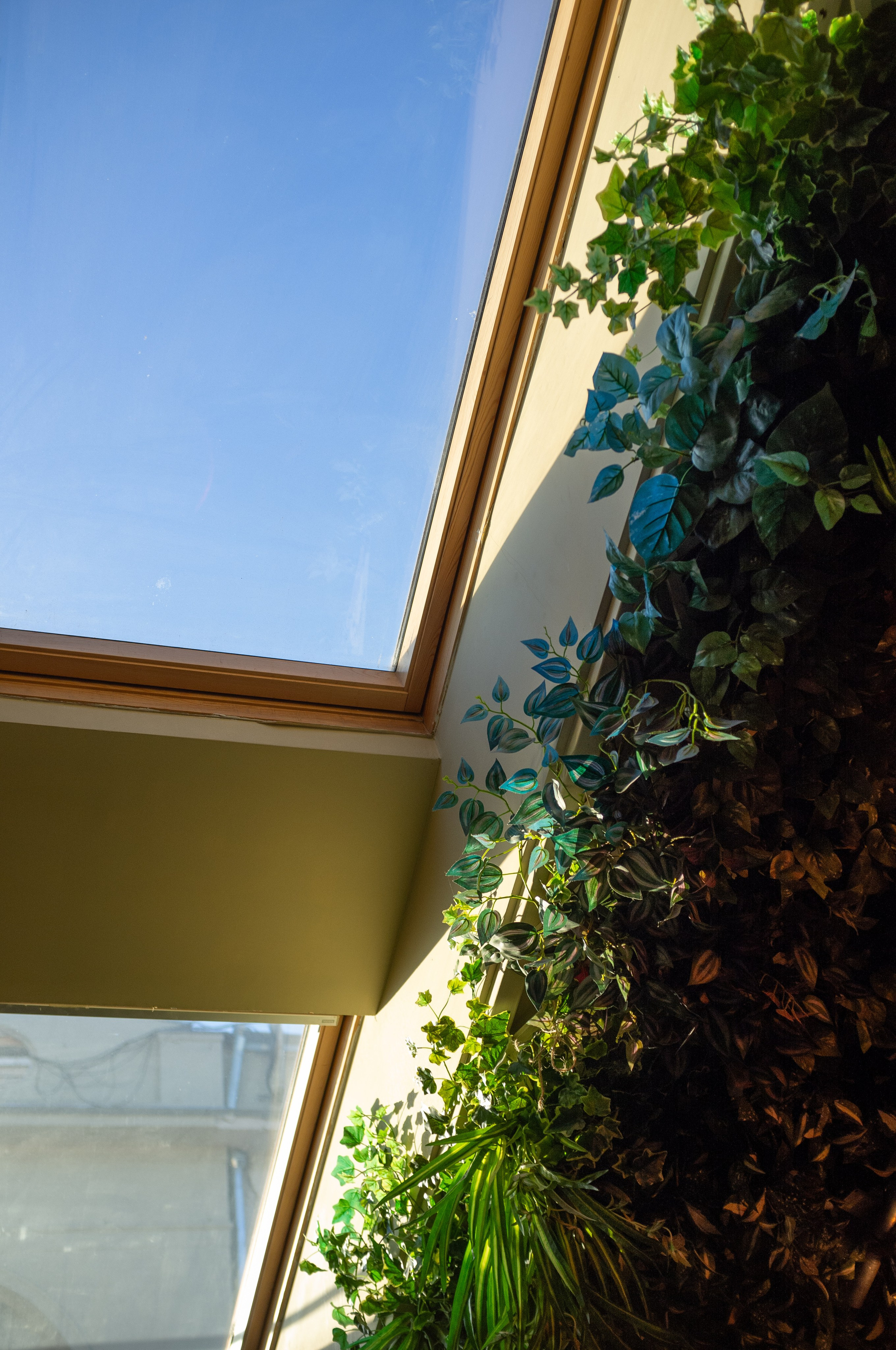 Китайский джаз и этника. Бронислав Виногродский в Kozlov club. Искусство фотографии. Мария Осокина