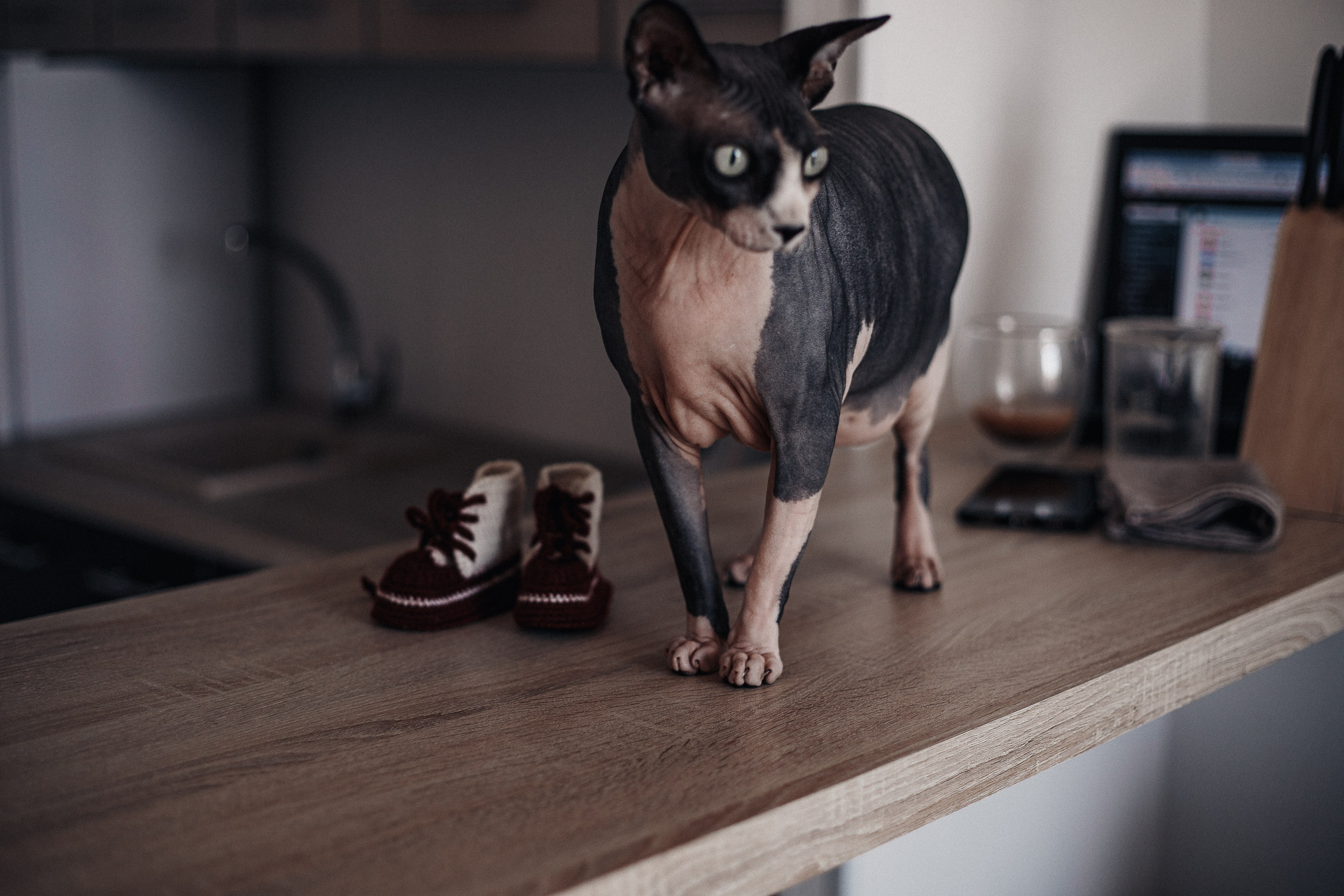 Домашняя фотосессия - Ожидание. Семейный и женский фотограф Кемерово Мария Степ