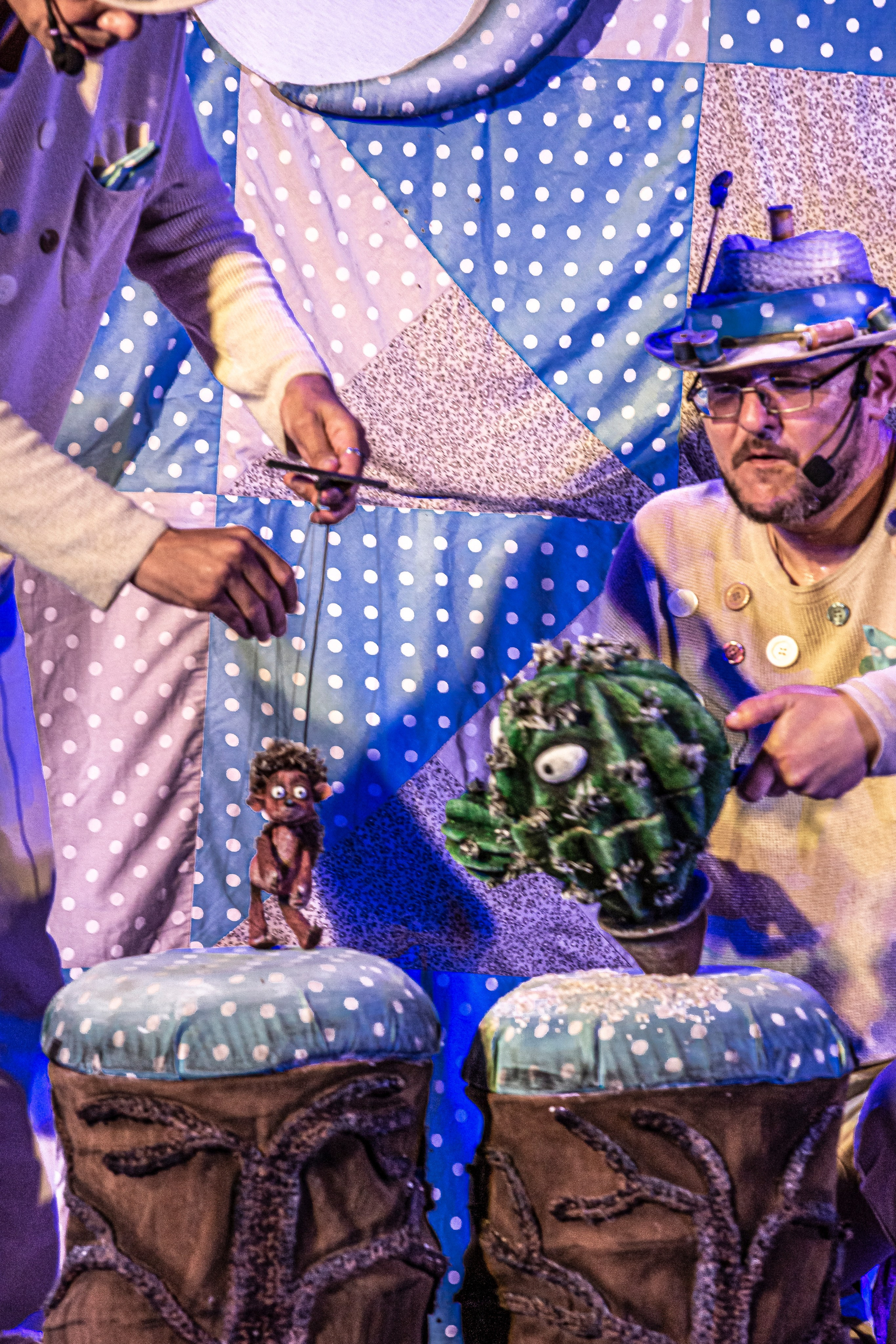 Колючая сказка. Фотограф в Сочи Юрий Шептаев