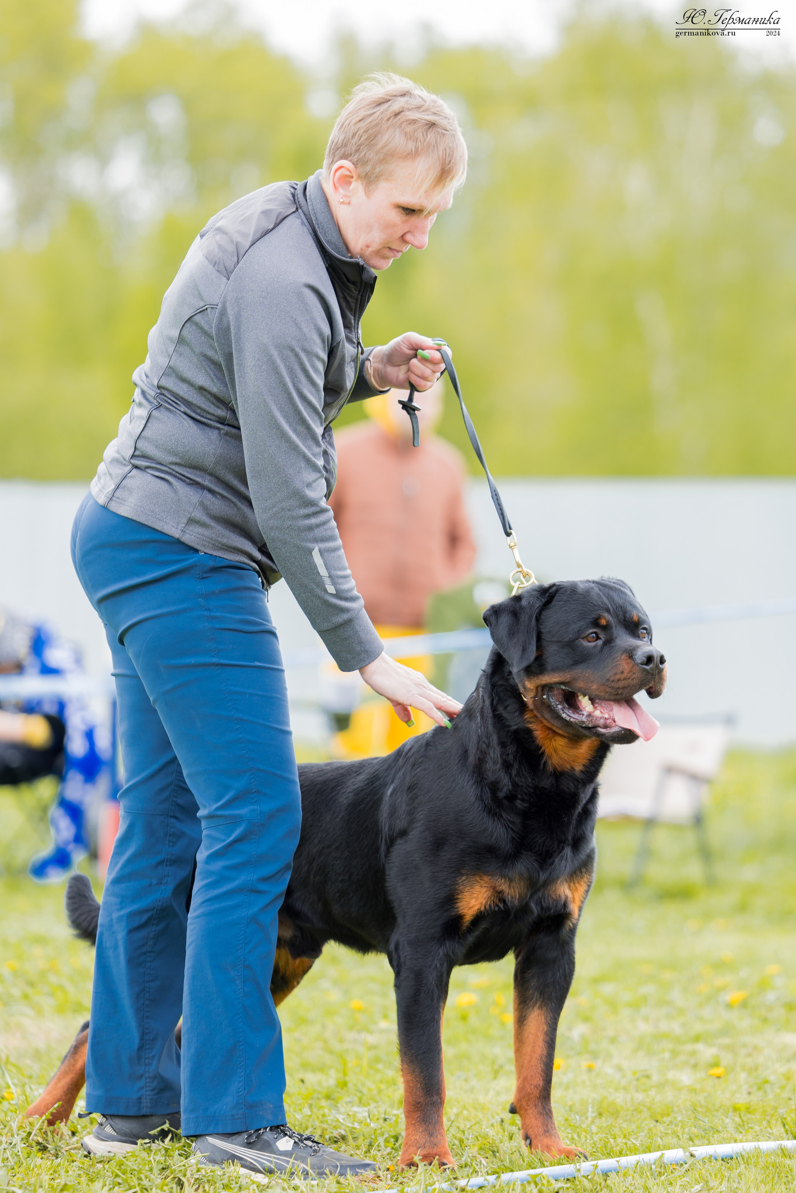 Нижний Новгород 11-12.05.2024 моно ротвейлеров. Фотограф-анималист Юлия Германика
