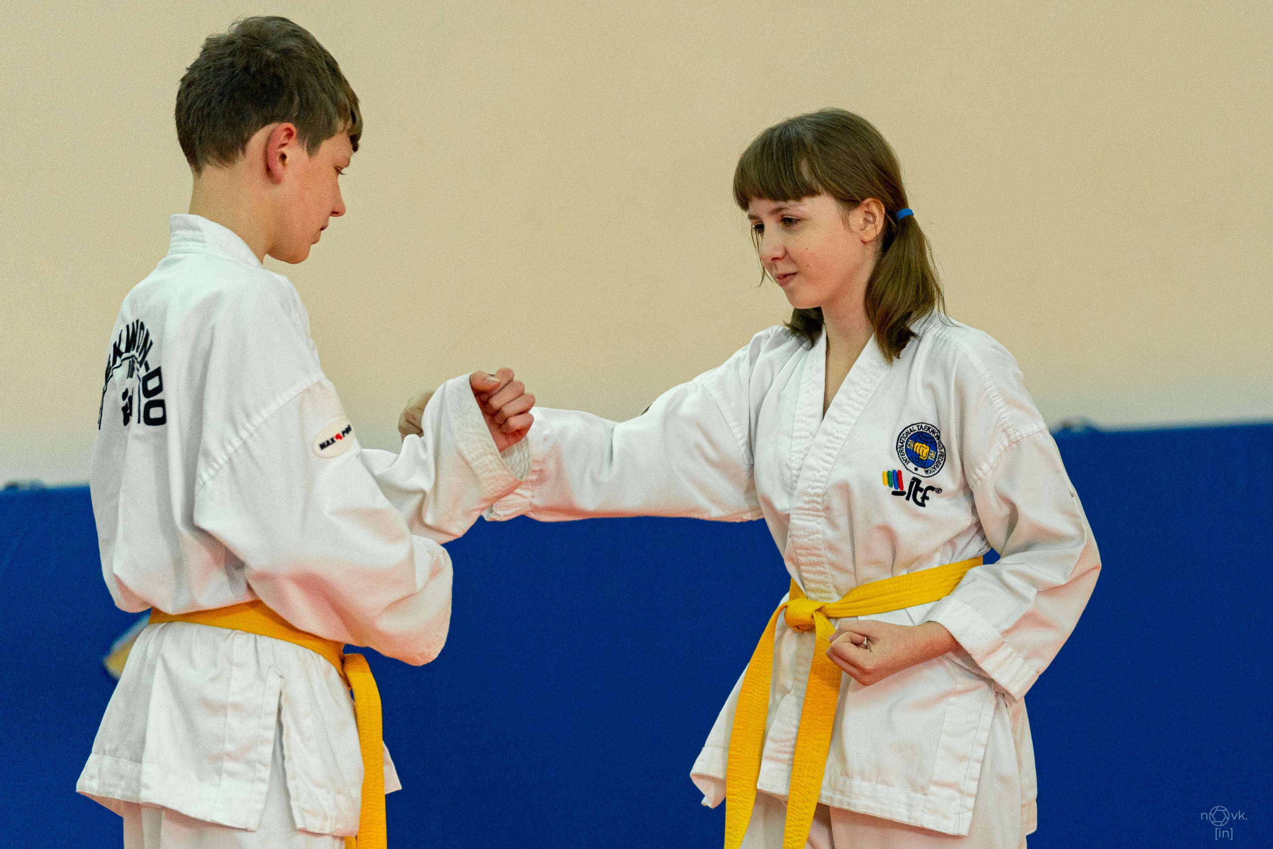 Аттестация Тхэкво. ФОТОГРАФ ИВАН НОВИКОВ | СТАВРОПОЛЬ