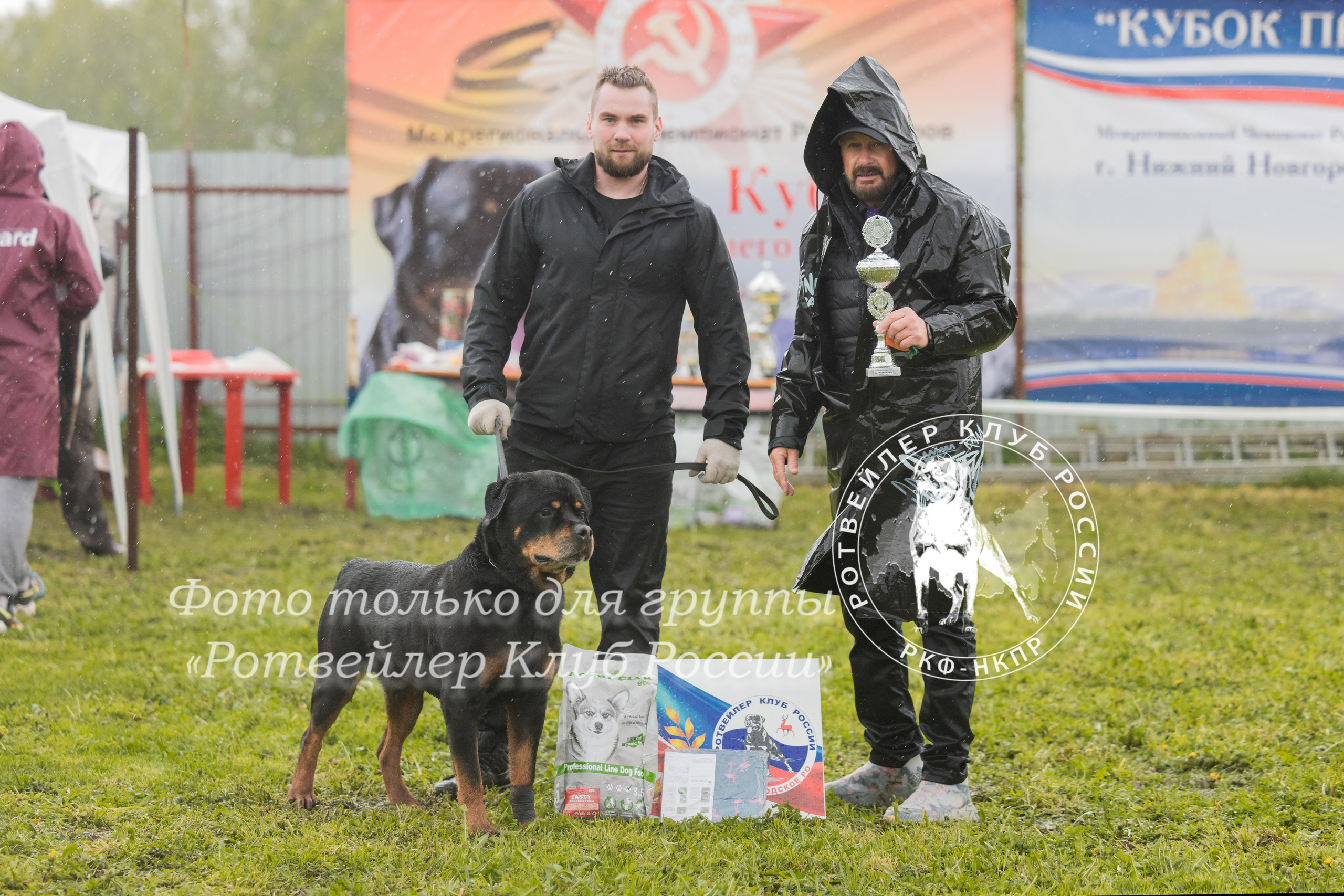 Нижний Новгород 2хмоно ротвейлеров 10-11.05.2025. Фотограф-анималист Юлия Германика