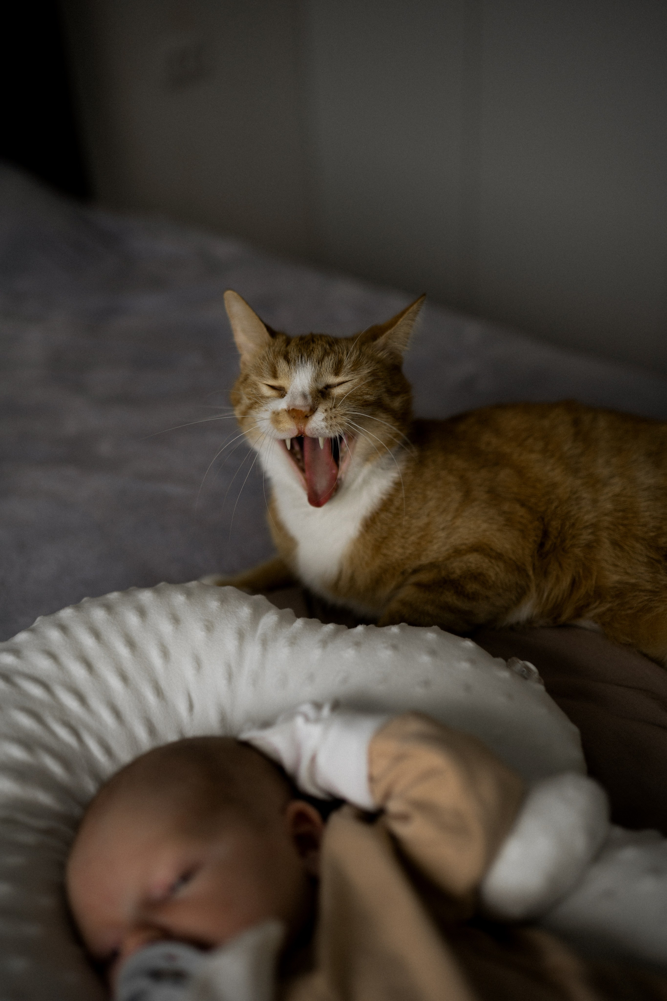 Домашняя съемка в Суздале. Семейный фотограф в Суздале Елена Кузнецова