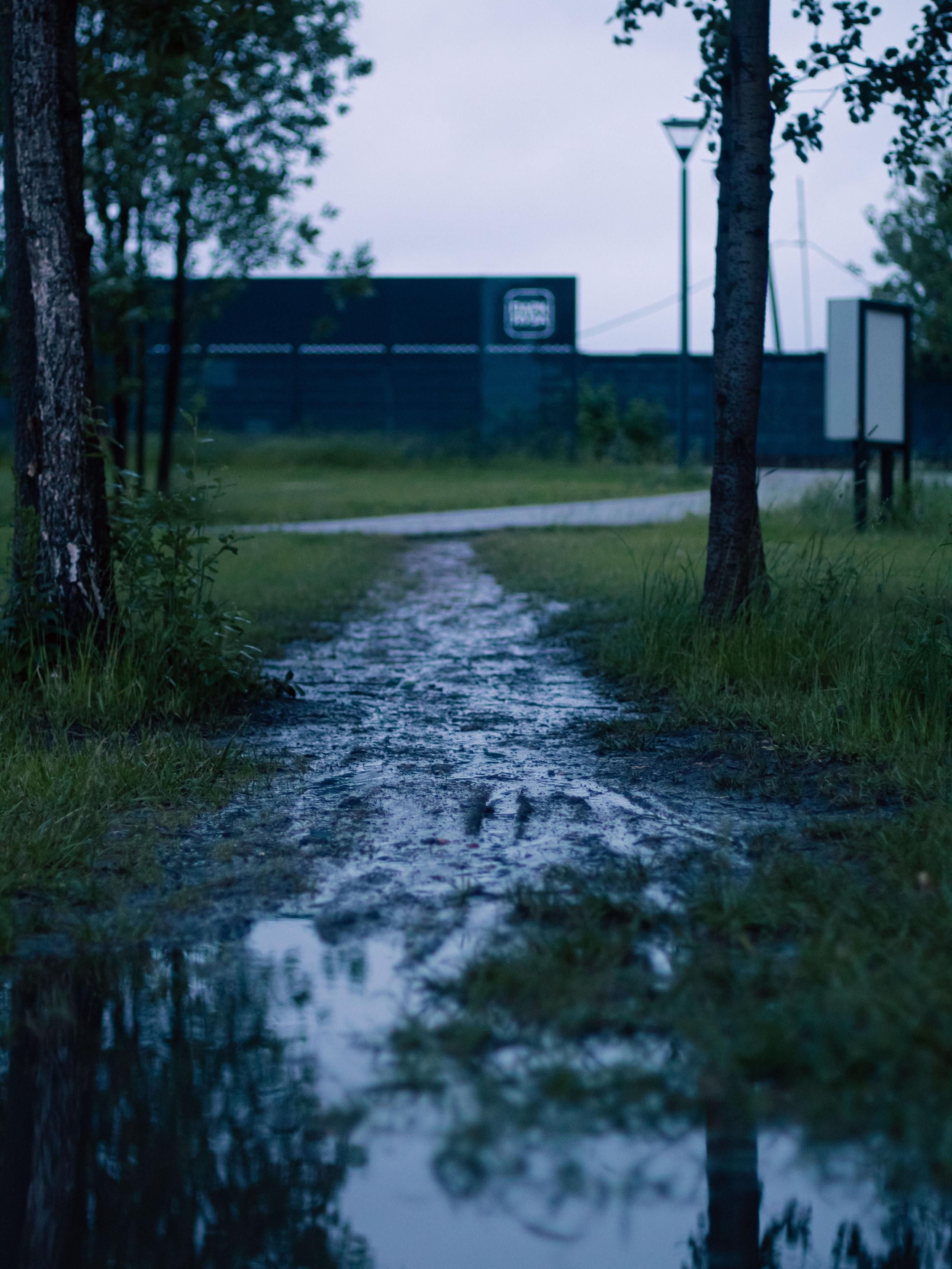 После дождя. Dmitriy [KCCC] is a pretty cool photographer