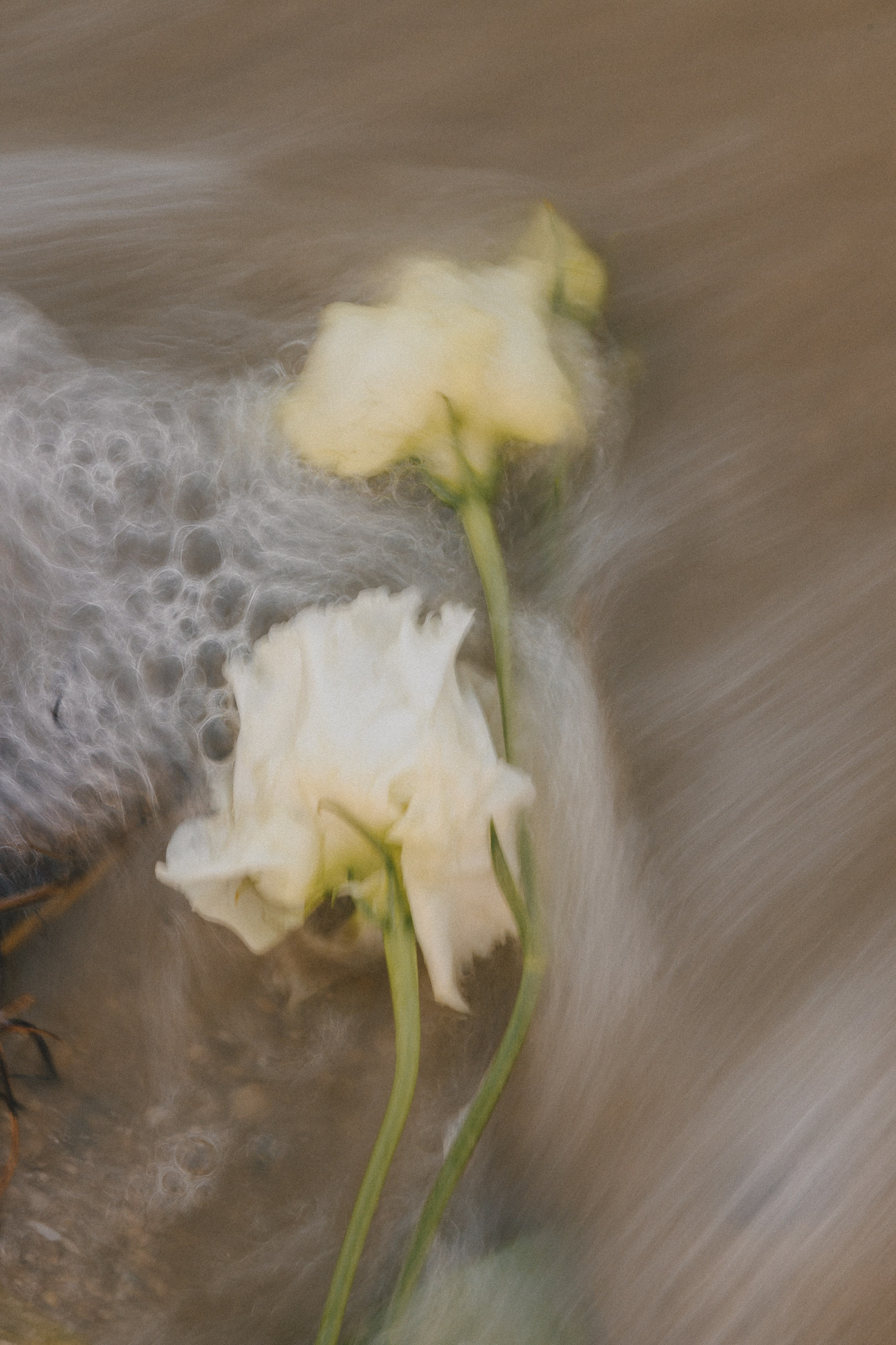 Даша. Фотограф Таганрог Любимая Надя