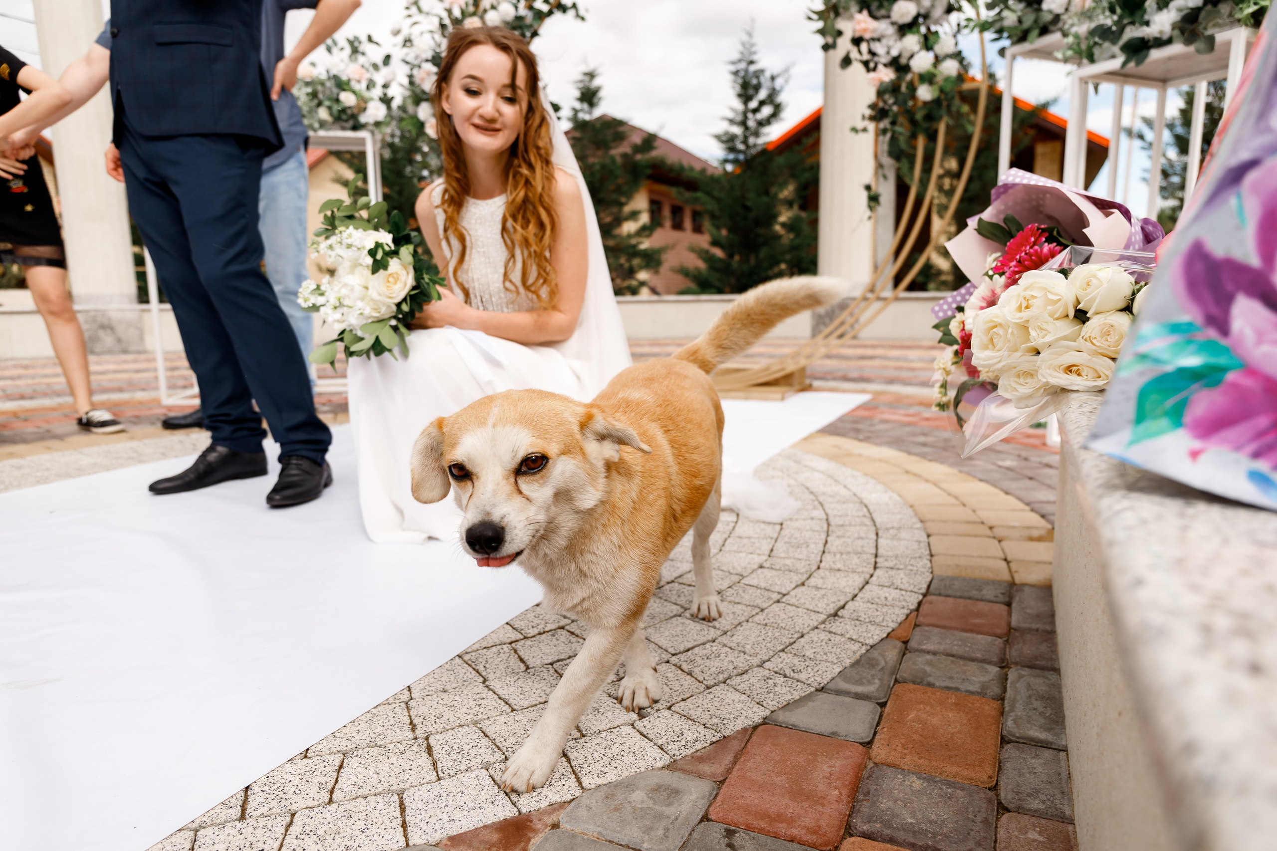 Олег и Настя (Выездная регистрация). Виктор Белик, Свадебный Фотограф Краснодар
