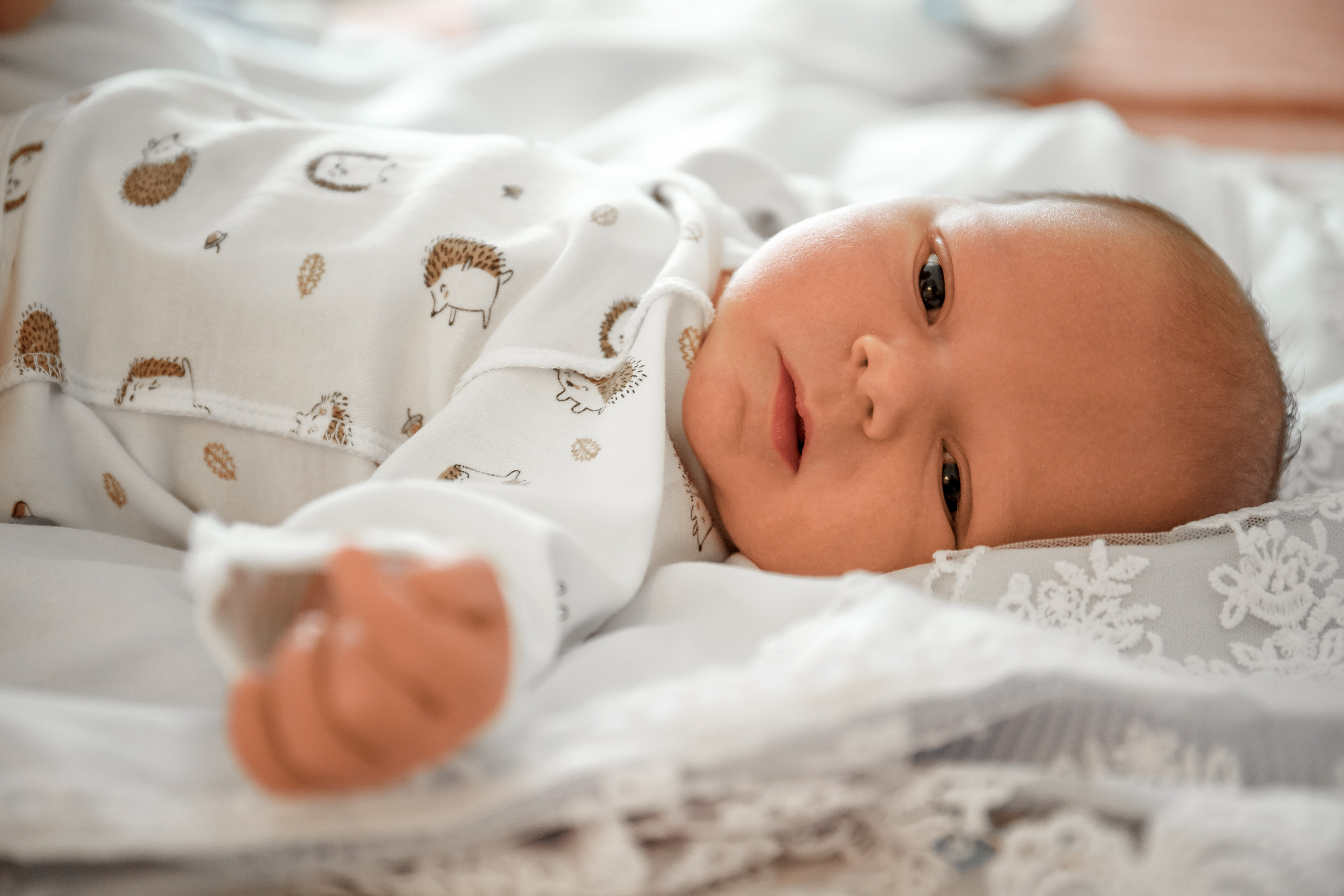 Выписка из роддома. Виктор Белик, Свадебный Фотограф Краснодар