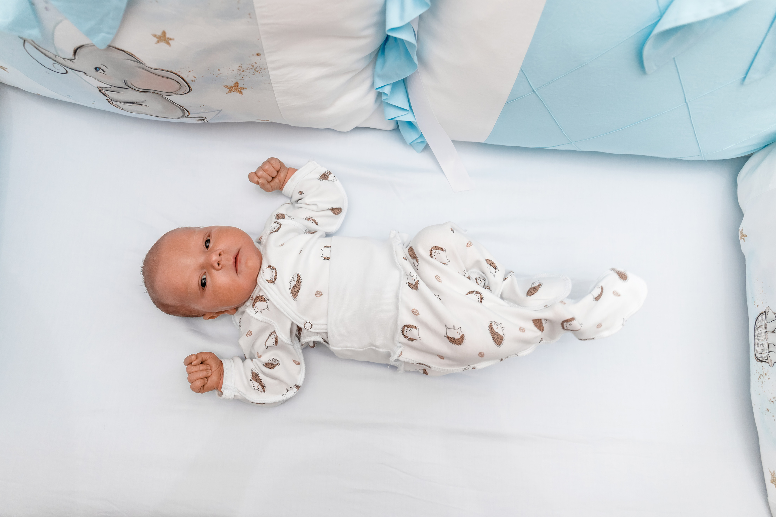 Выписка из роддома. Виктор Белик, Свадебный Фотограф Краснодар