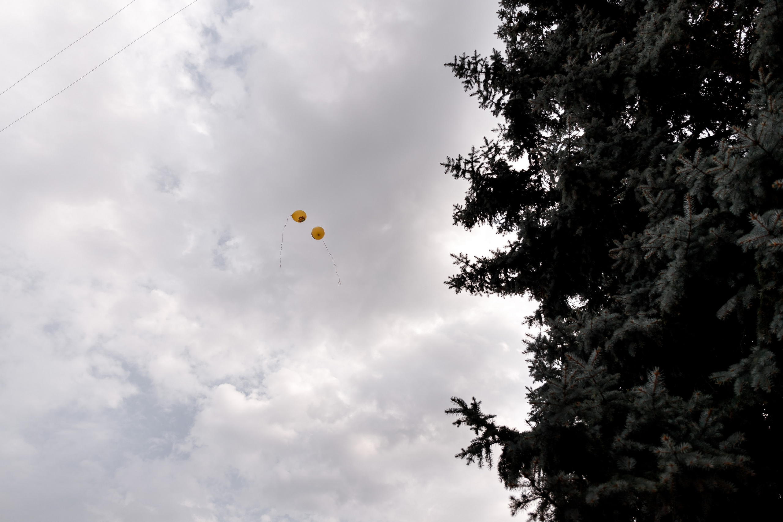Первое Сентября. Виктор Белик, Свадебный Фотограф Краснодар