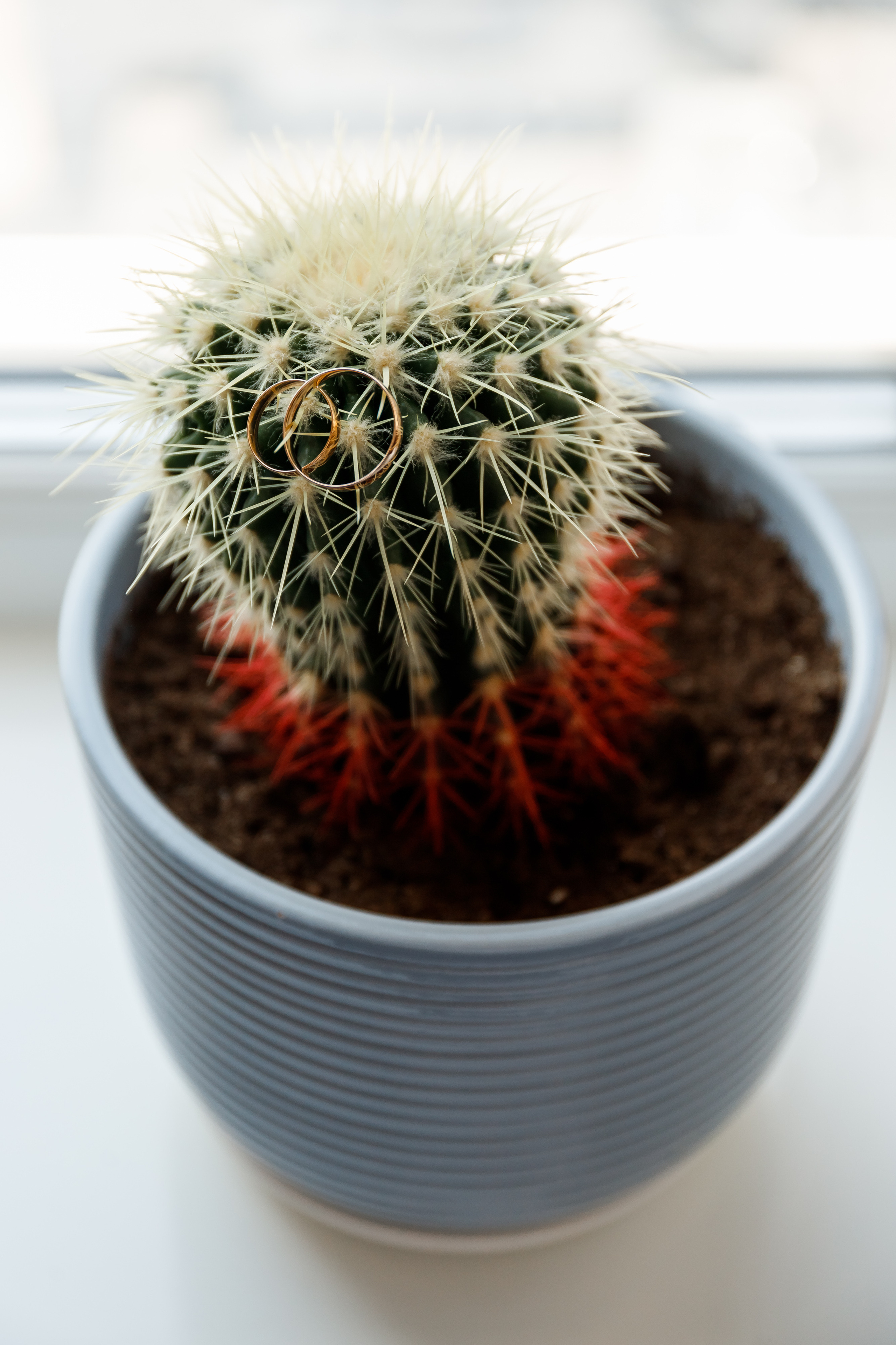 Василий и Марина (Элегантная нежность). Виктор Белик, Свадебный Фотограф Краснодар