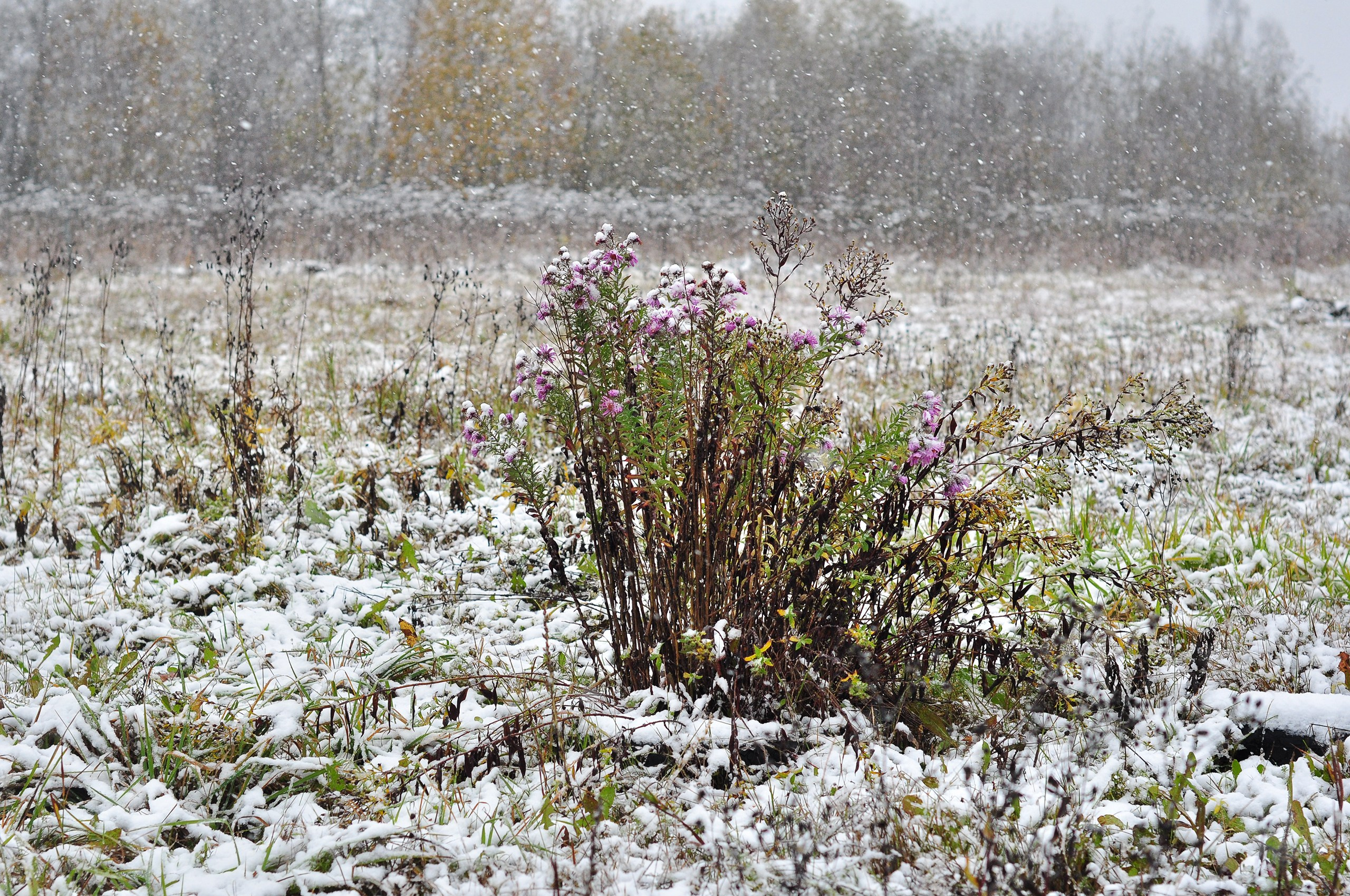 Landscape фото. Фотограф и художник Kerry Moore