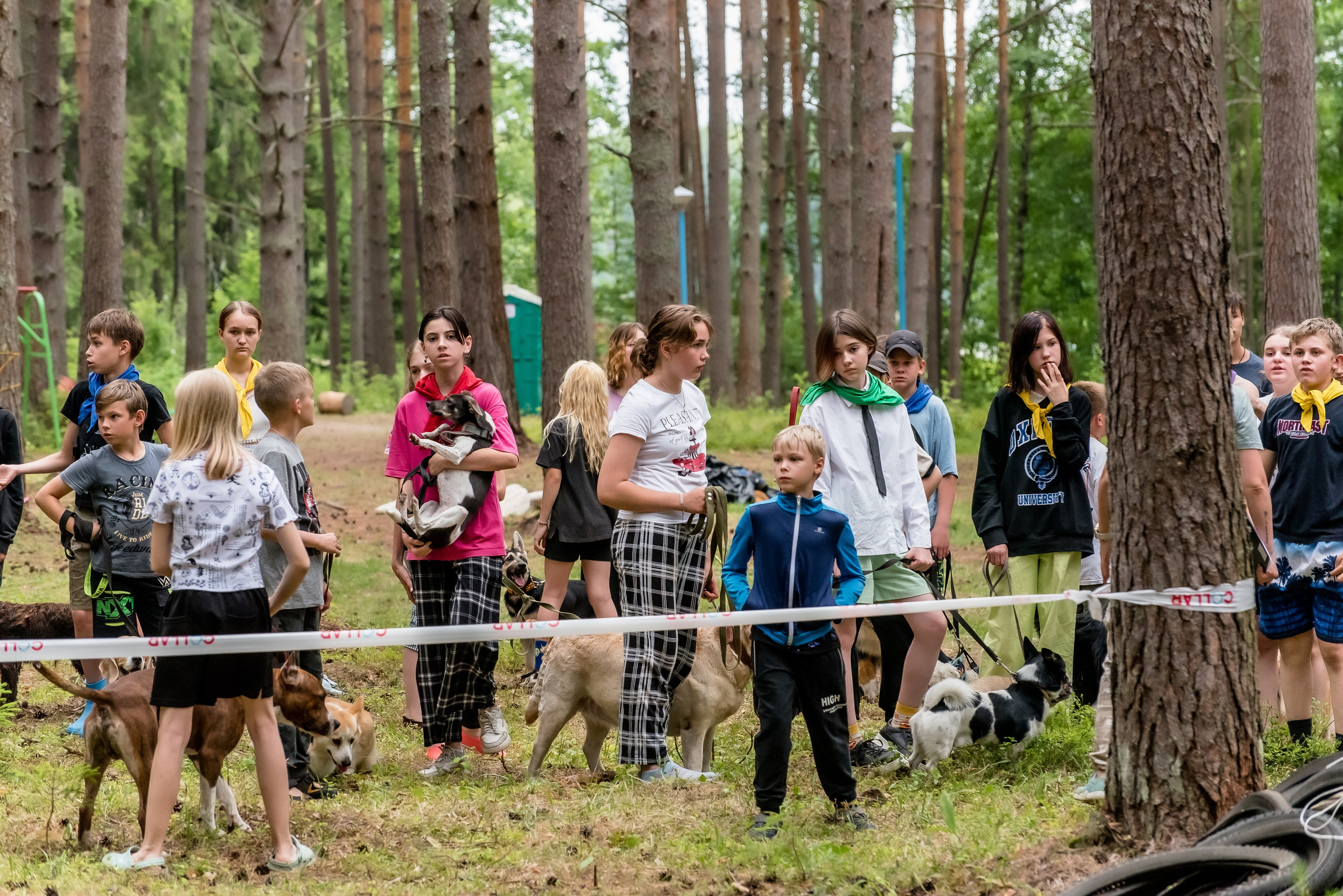 Хвостатые каникулы Детский кинологический лагерь. Фотограф Макс Огурцов в Нижнем Новгороде