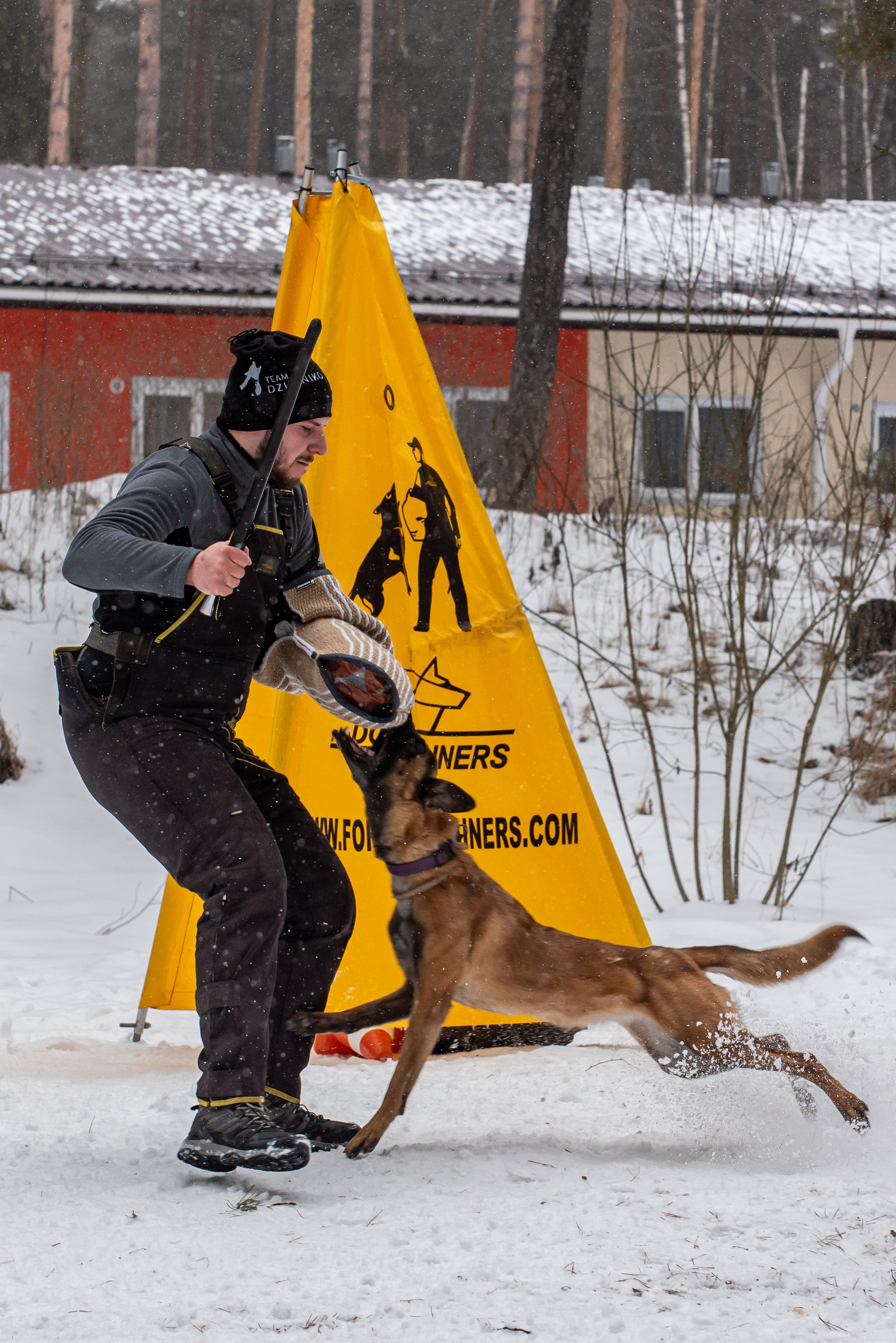 Фотосъёмка с собаками в Кинологическом лагере. Фотограф Макс Огурцов в Нижнем Новгороде