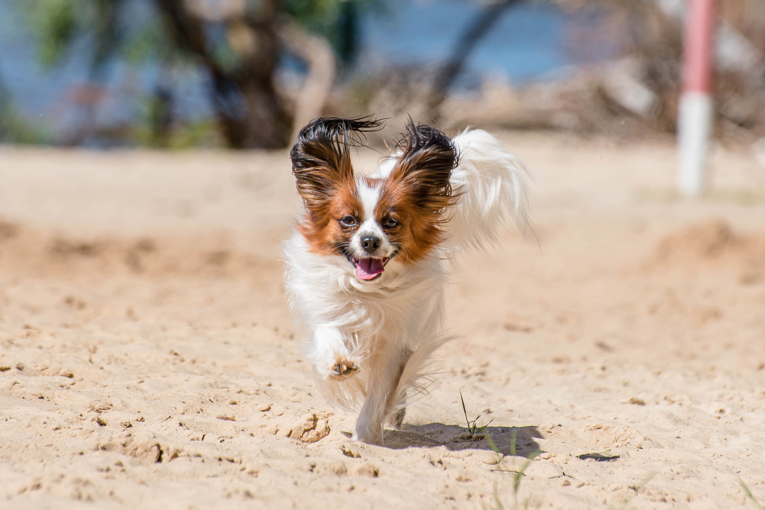 Семейная фотосессия. Фотограф Макс Огурцов в Нижнем Новгороде