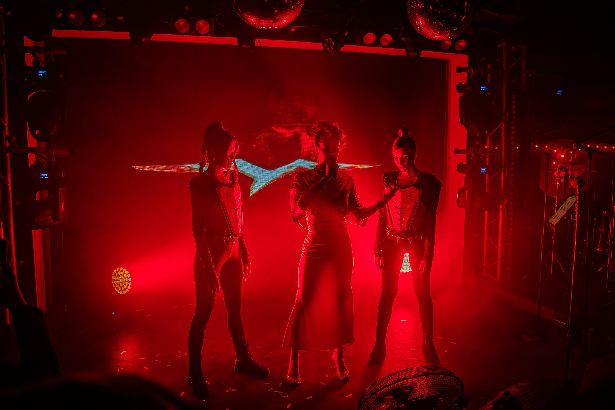 «МИША МАРВИН"_Чайка на пляже_Ялта_14.06.2025. Аминов Руслан | Фотограф