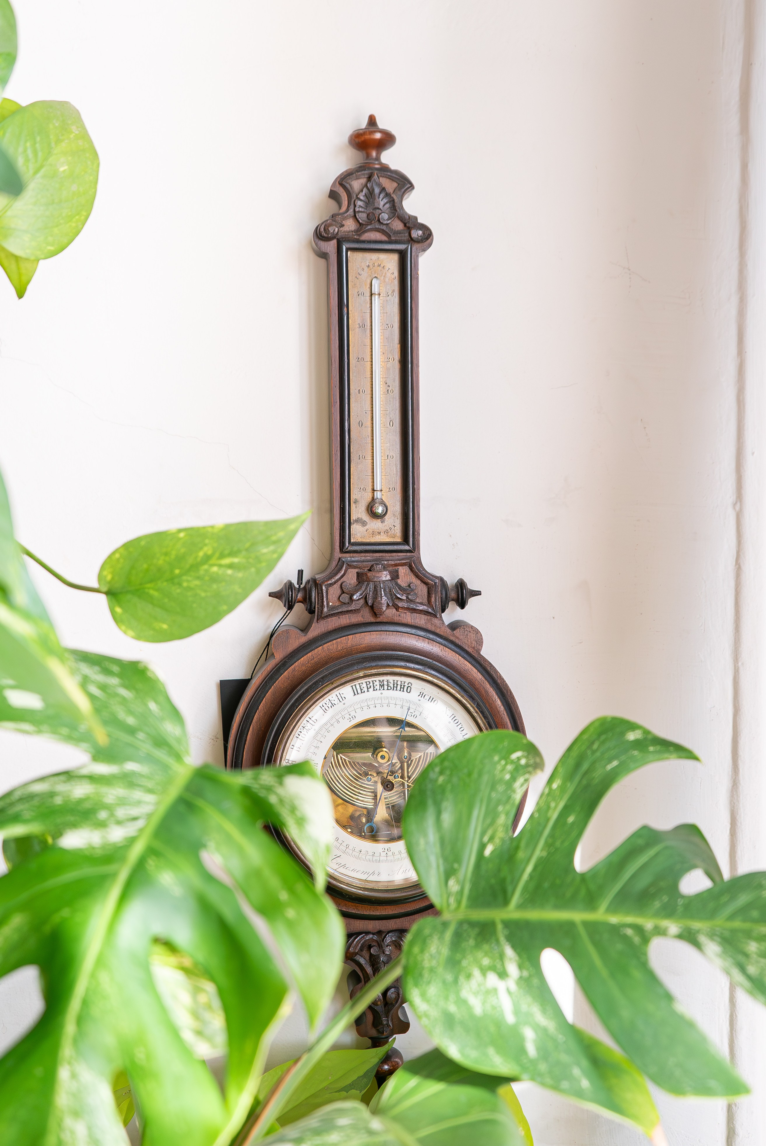 Усадьба. Александра Куликова фотограф, Москва